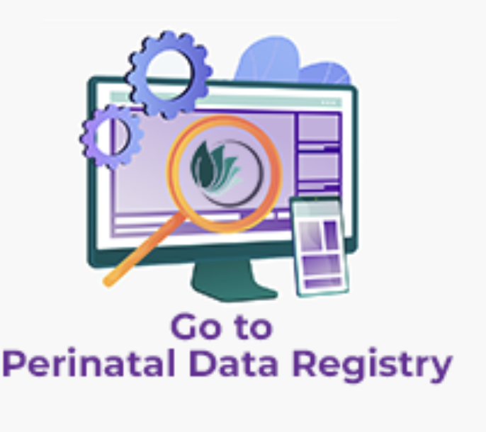 Screenshot 2024-01-02 at 12.38.45 AM.png