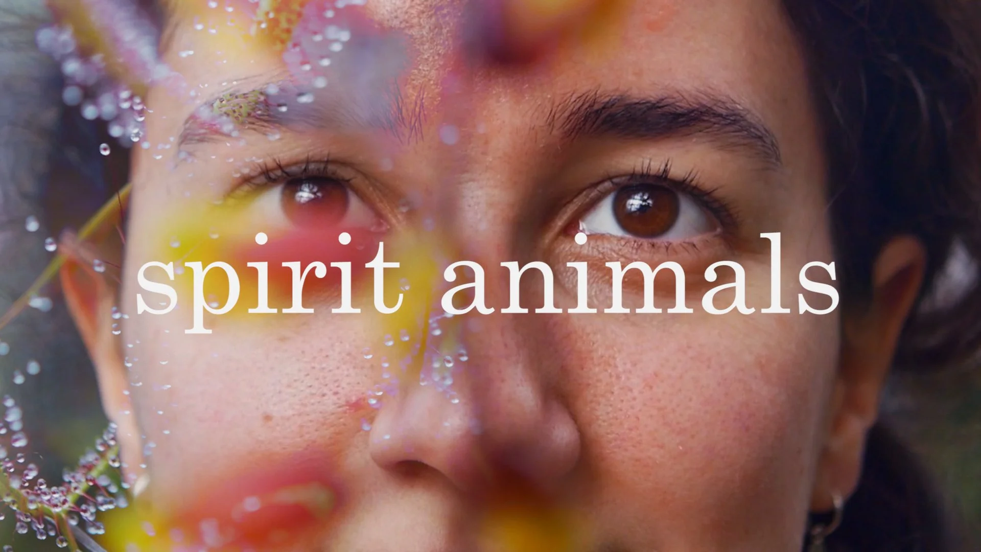 Spirit Animals