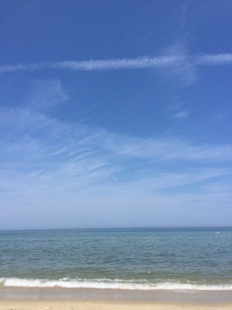 IMG_6075.jpeg