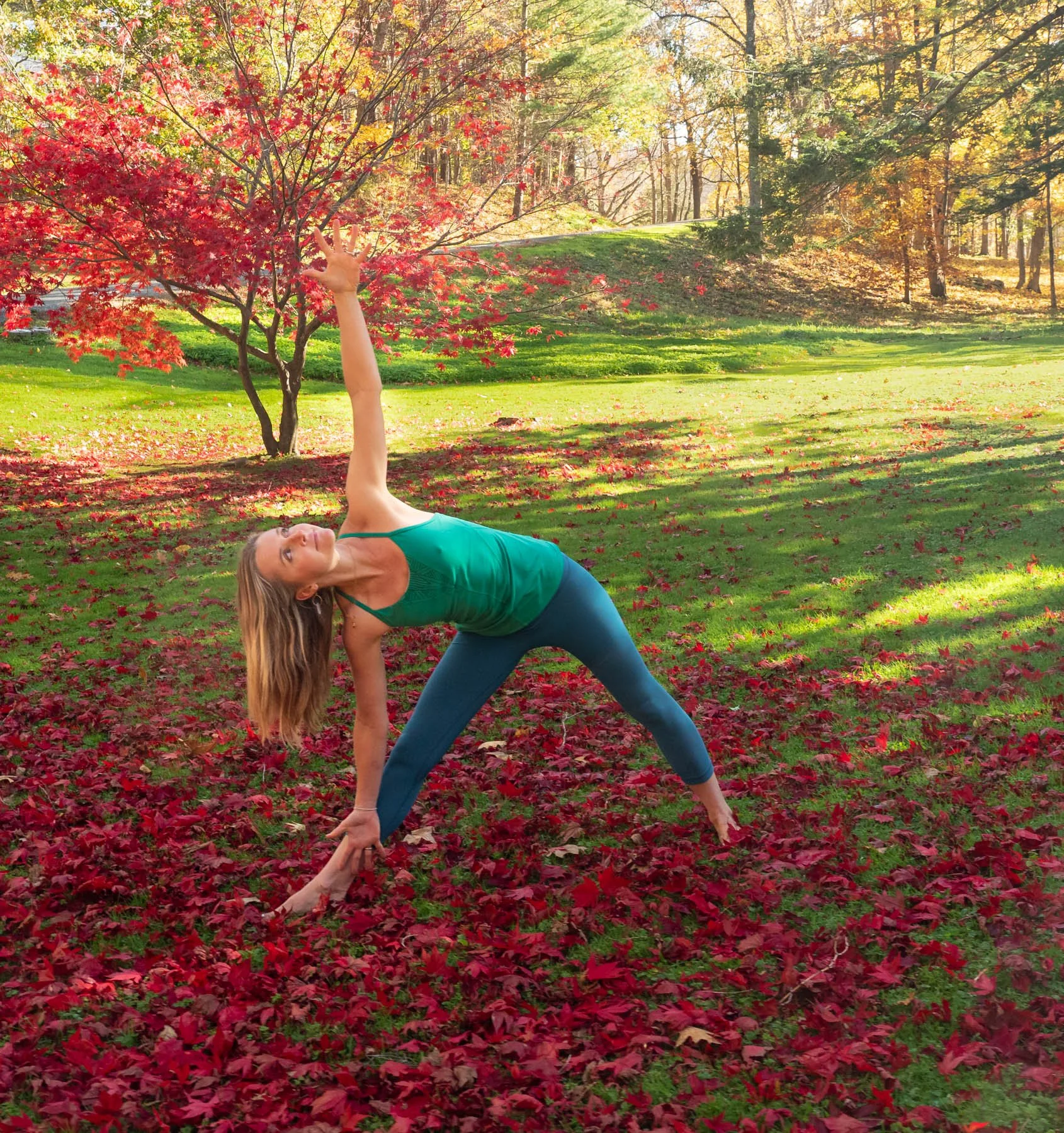 Triangle Red Leaves2.JPEG