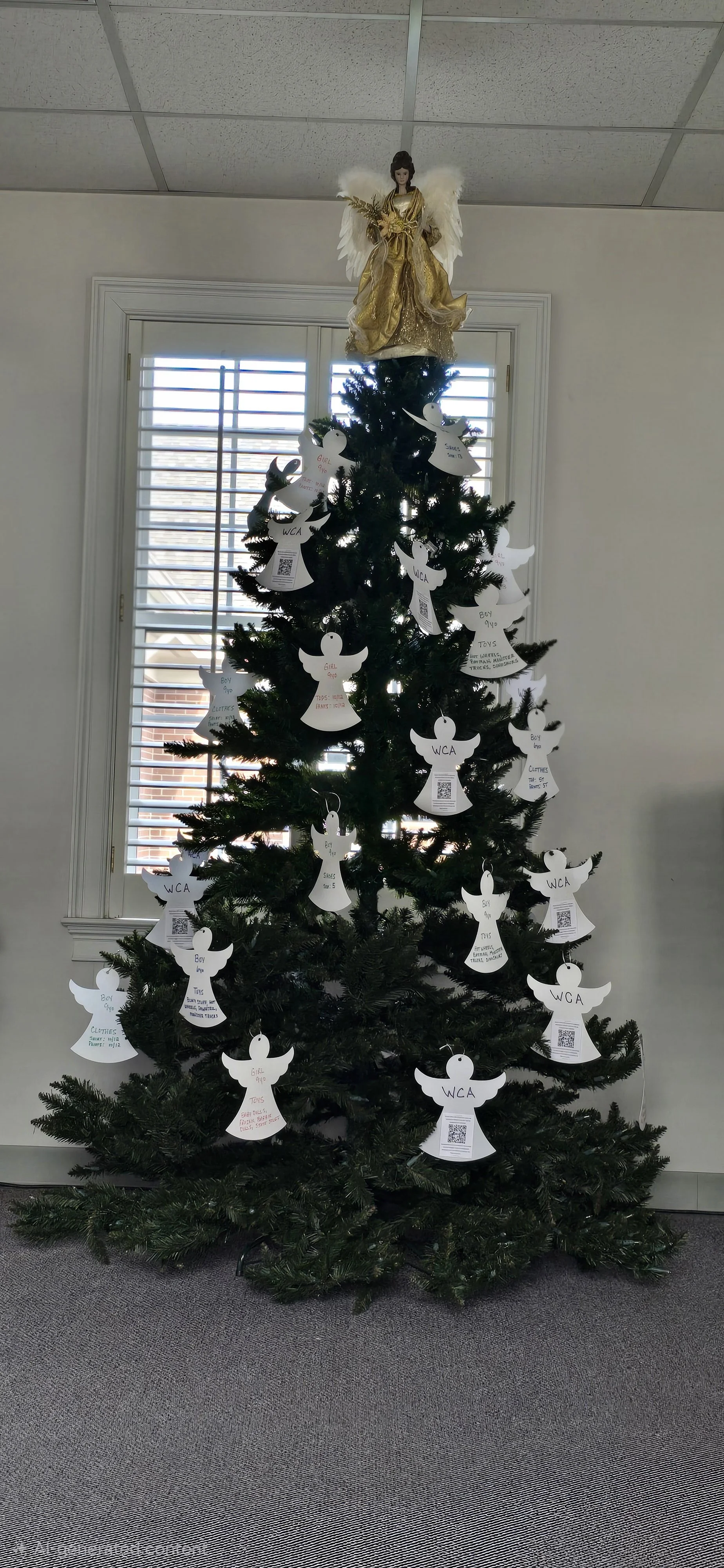 2025-11-29 12.33.27-1.jpg