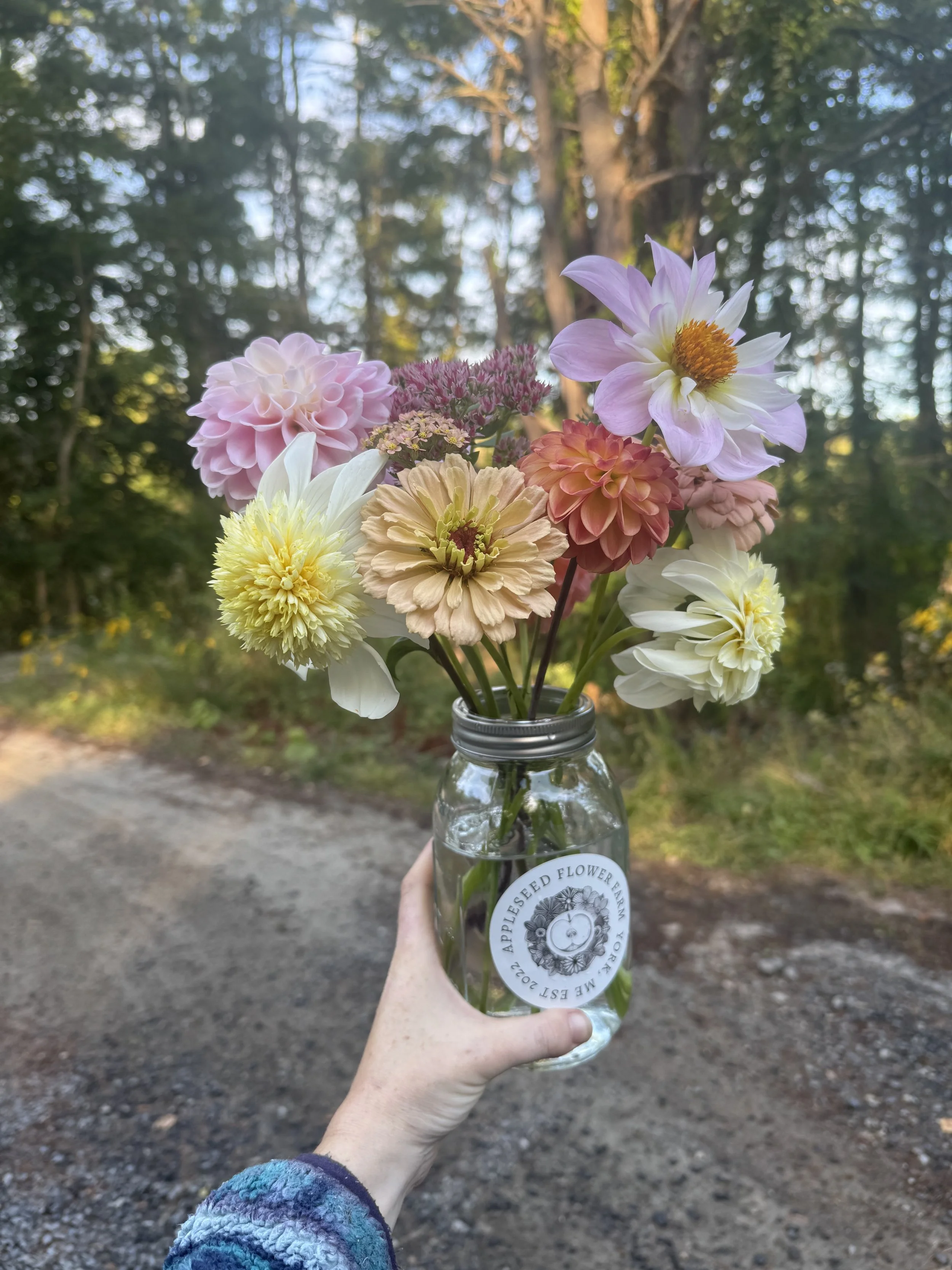 IMG_7221.jpg (Copy) (Copy)