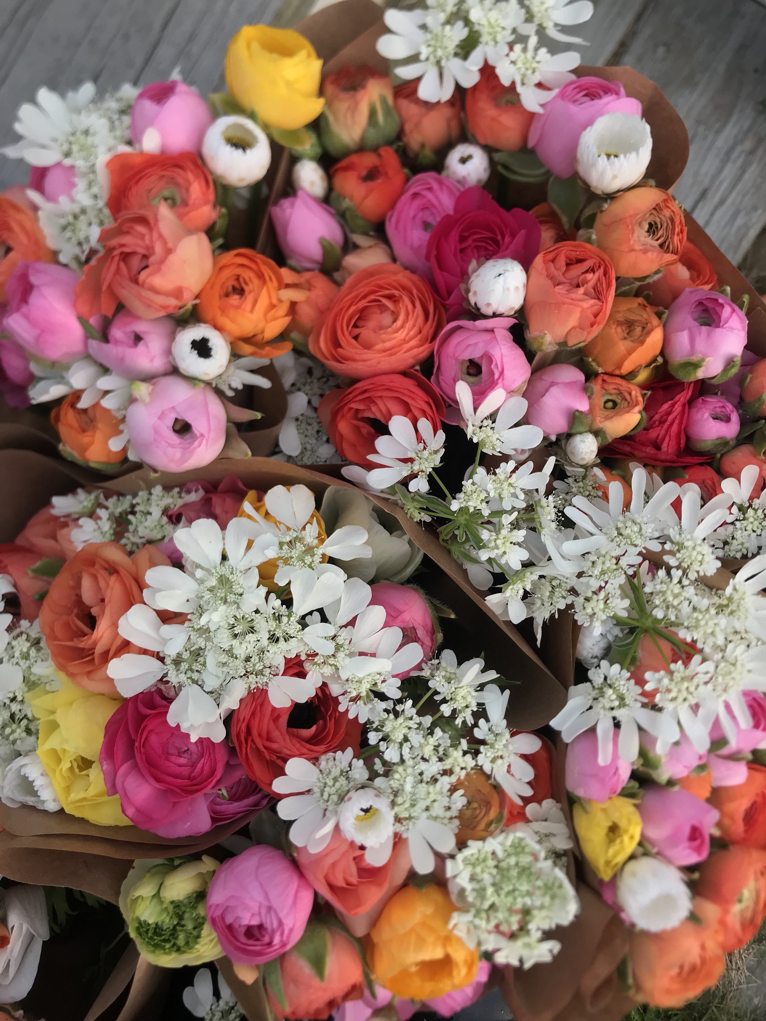 ranunculus.jpg