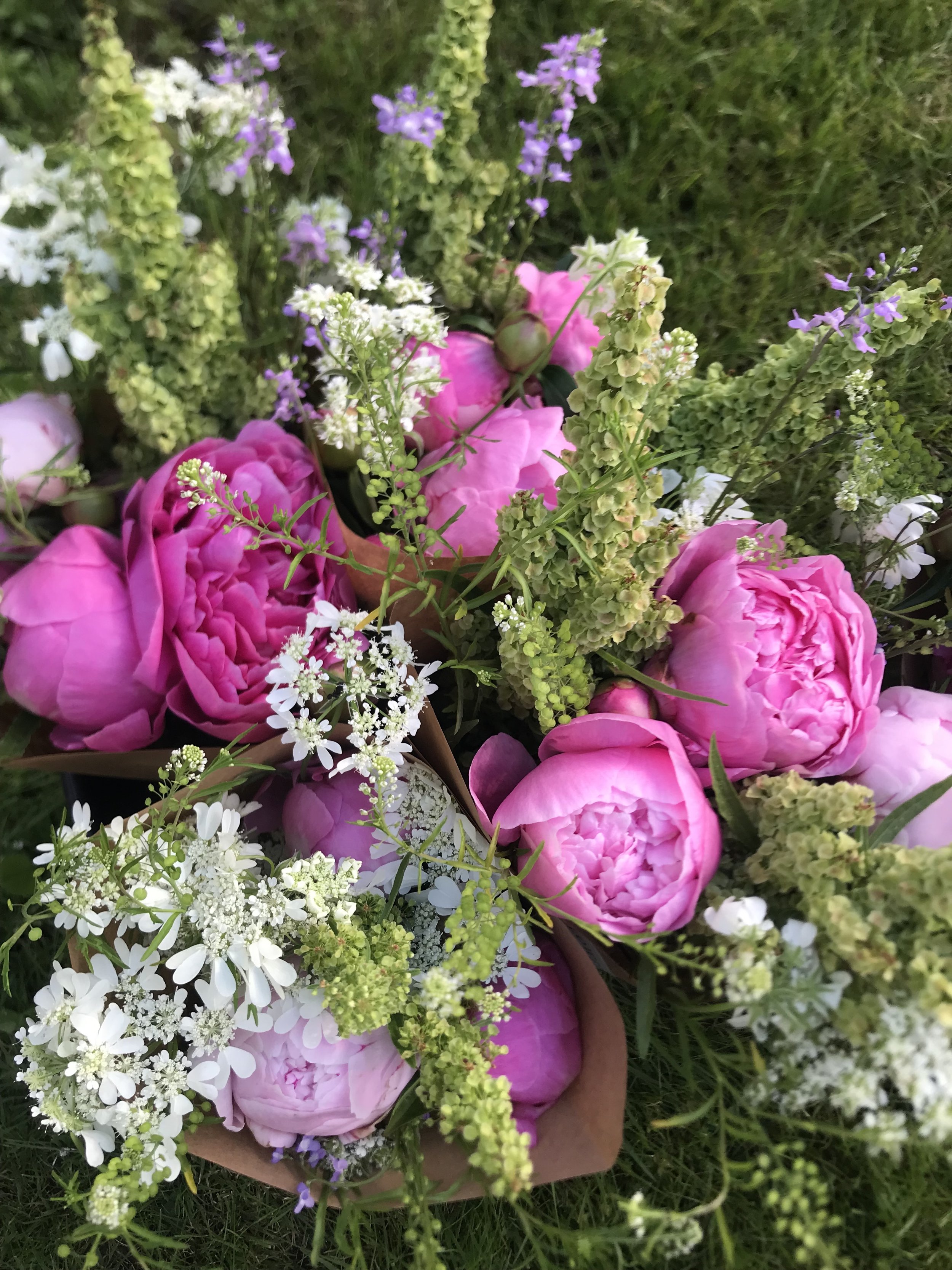 peony bouquets.jpg