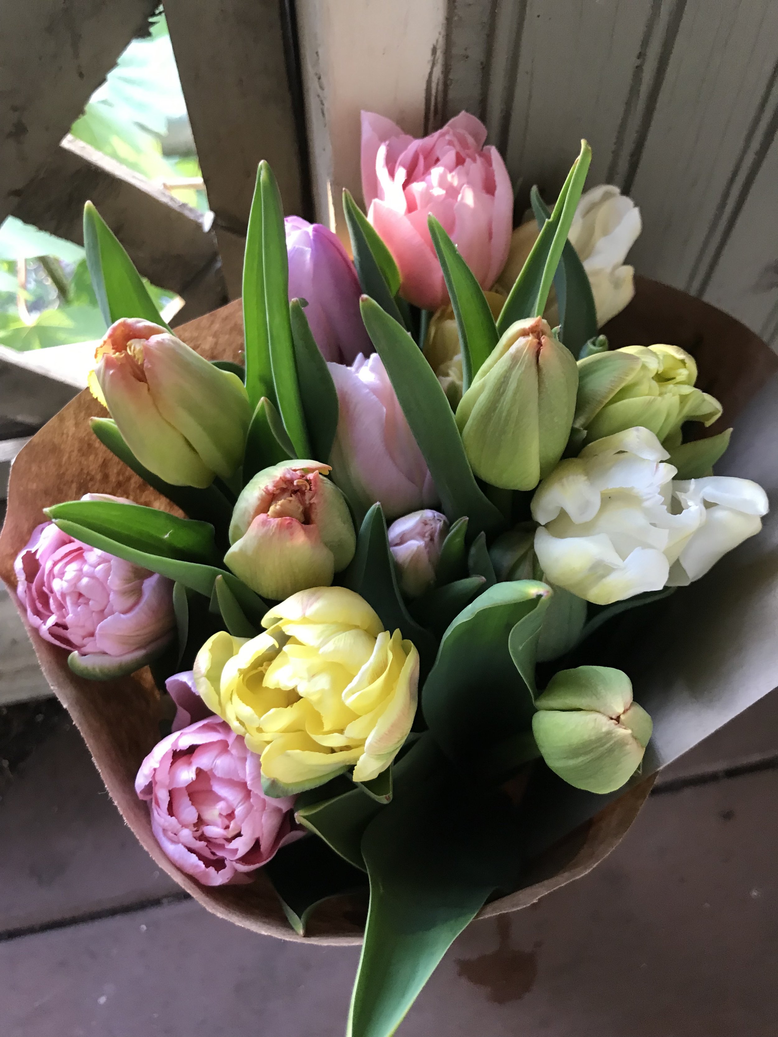 tulips2.jpg