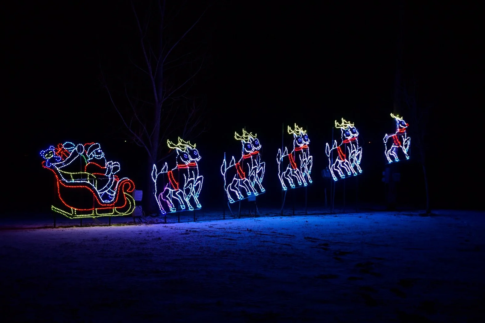Christmas light display featuring Santa Claus in his sleigh and six reindeer illuminated with colorful LED lights at night.