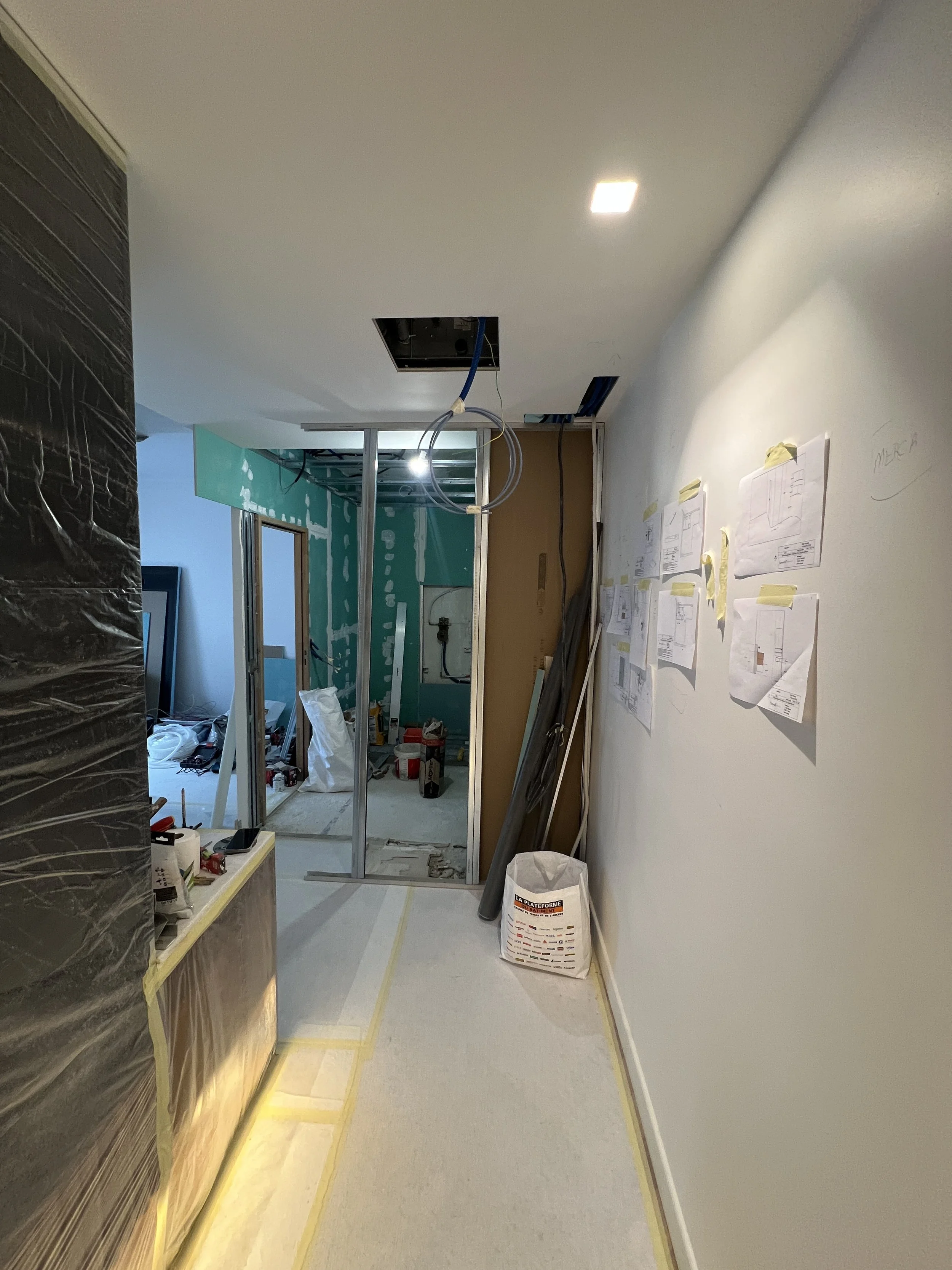 Paris-7-project-before-photos- 7.JPG