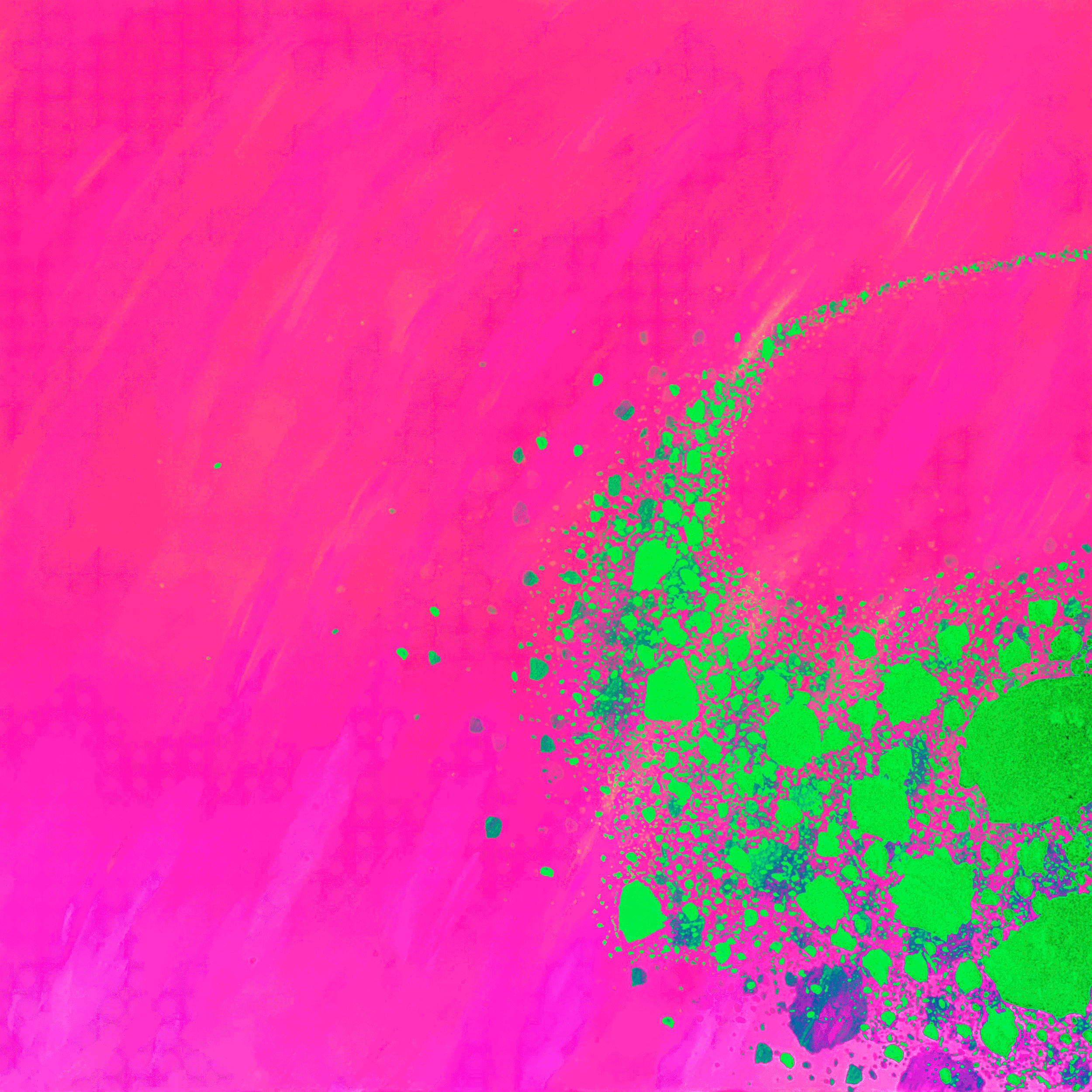 IMG_2386.gif
