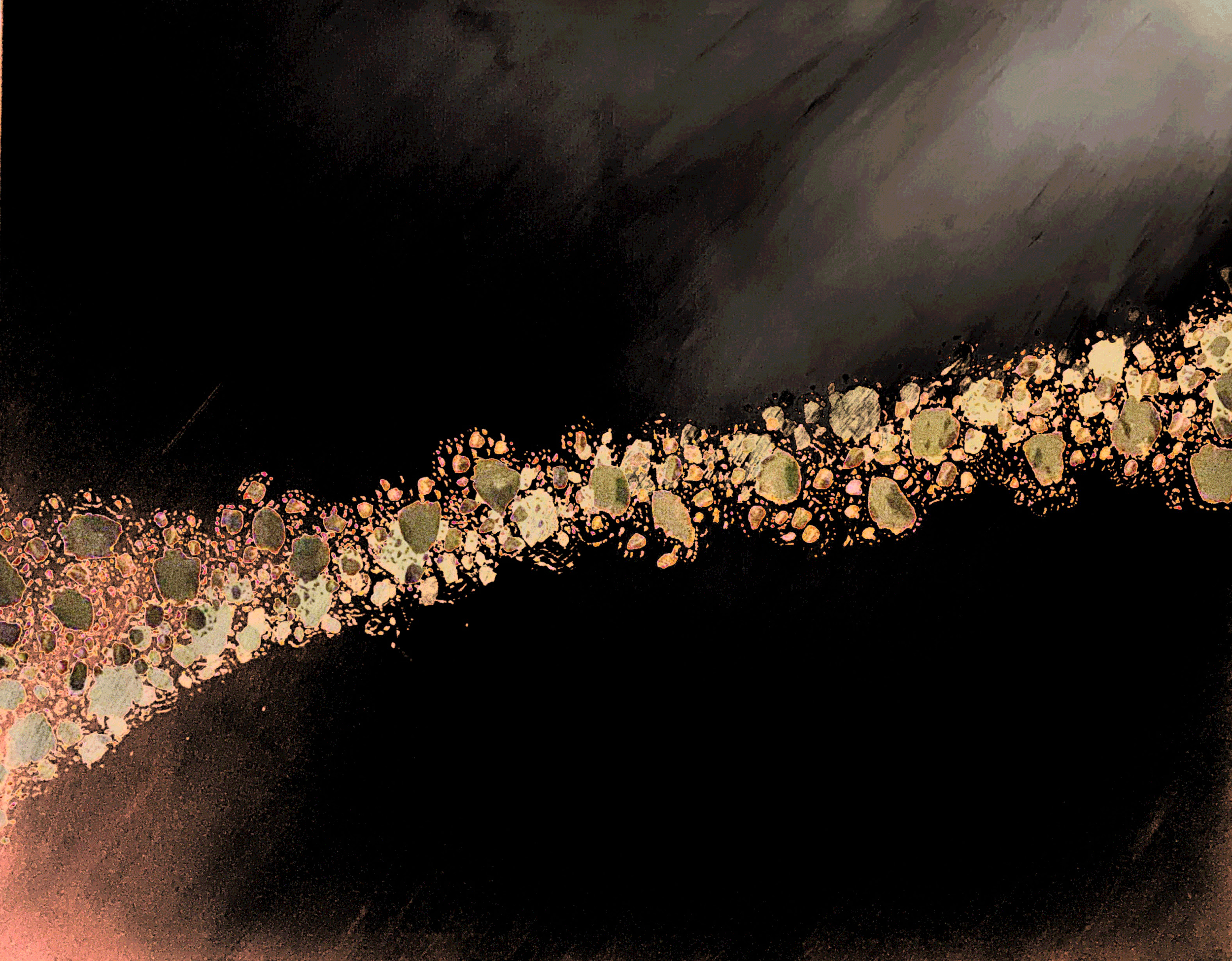 IMG_9525.gif