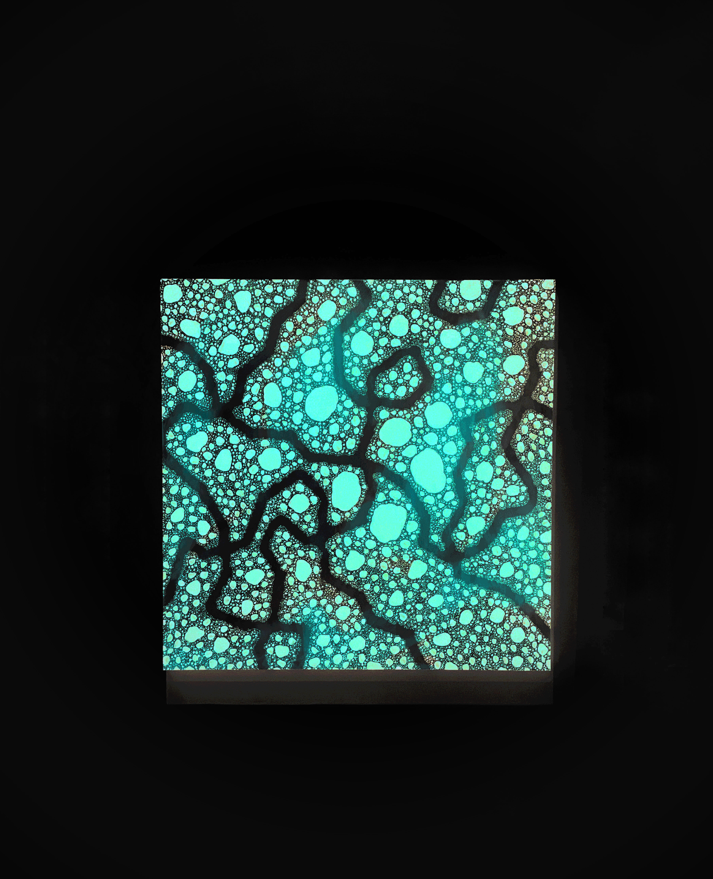 IMG_2274.gif