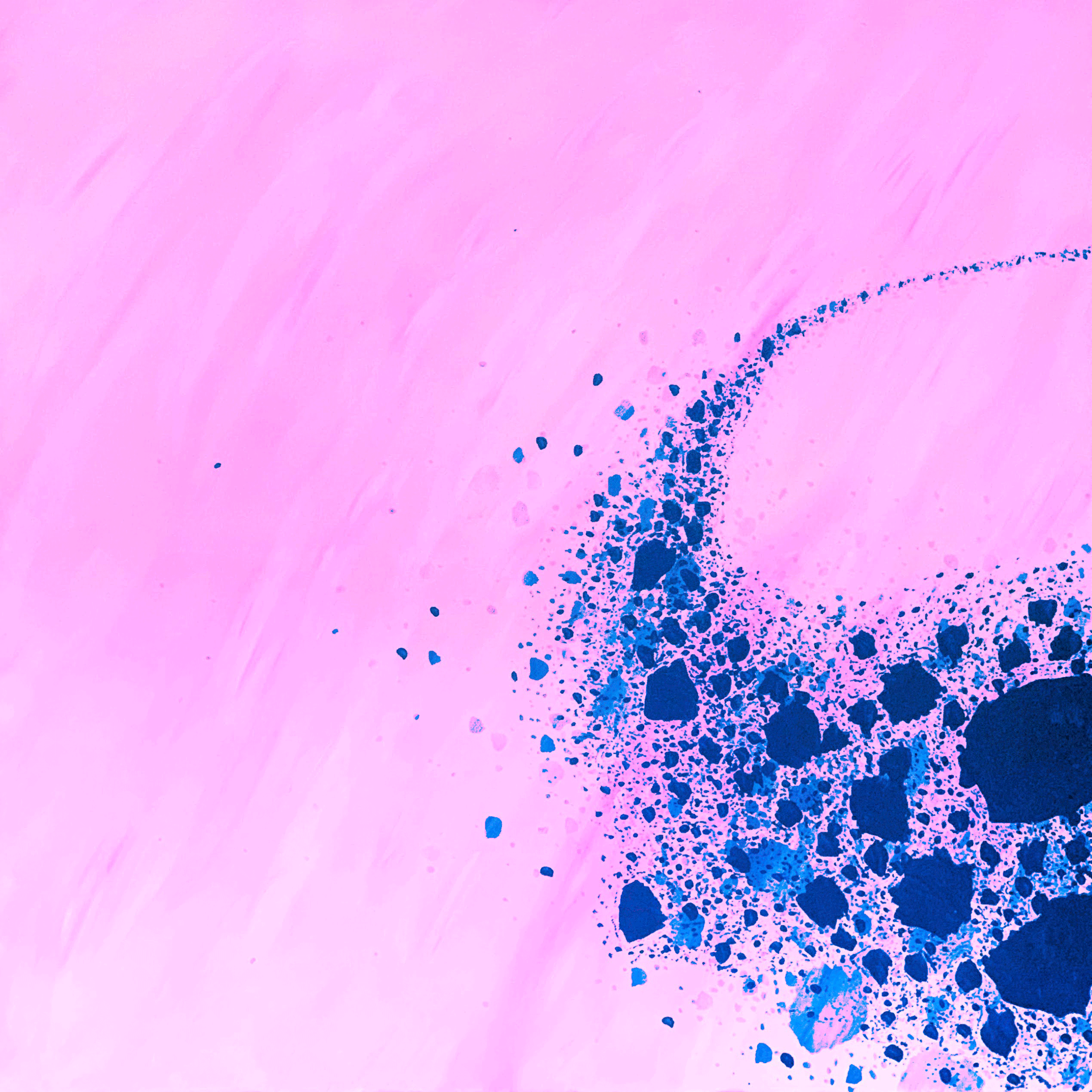 IMG_2390.gif