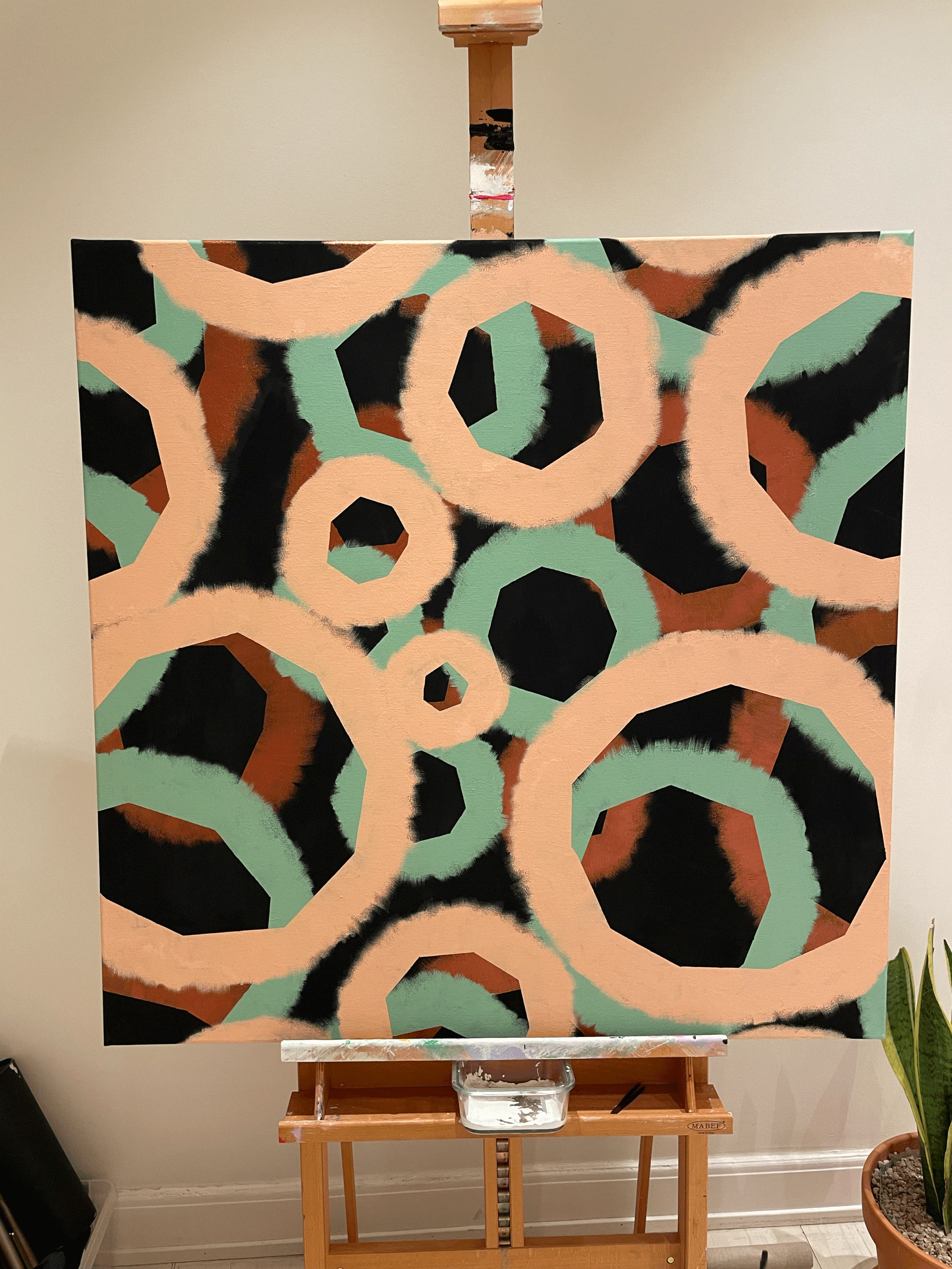 IMG_6429.gif