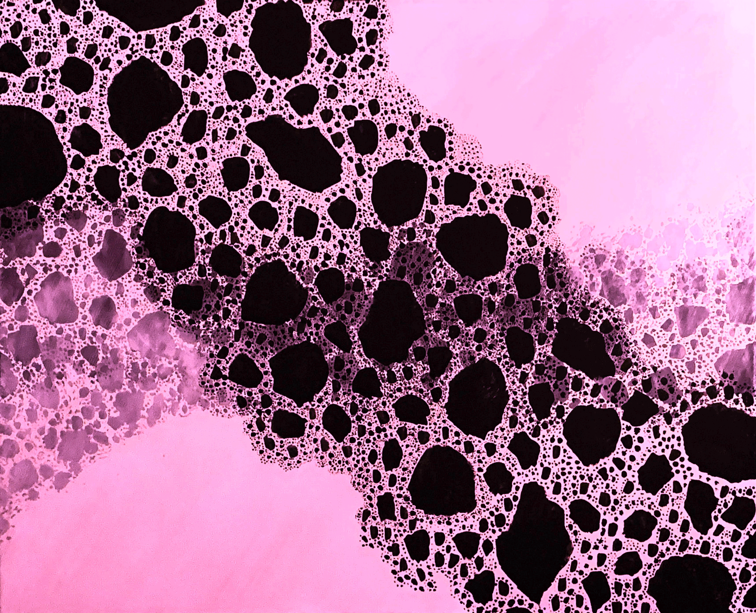 IMG_9865.gif