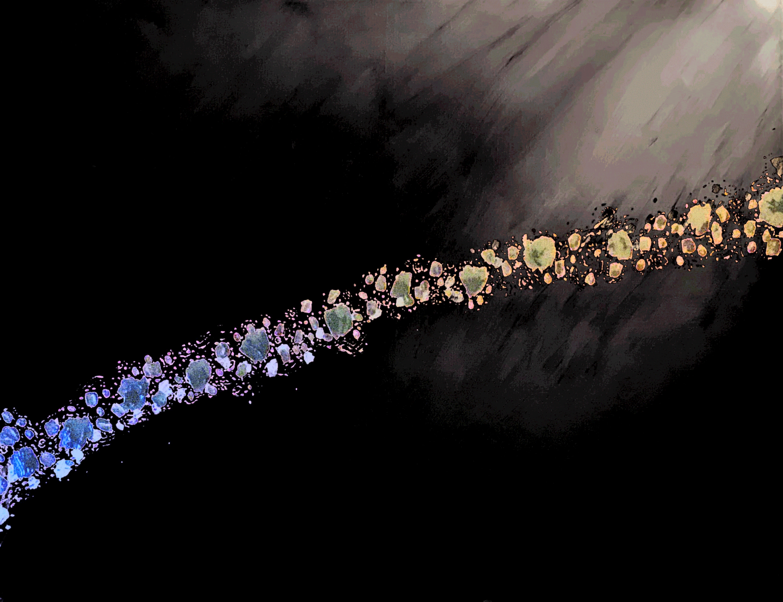 IMG_2398.gif