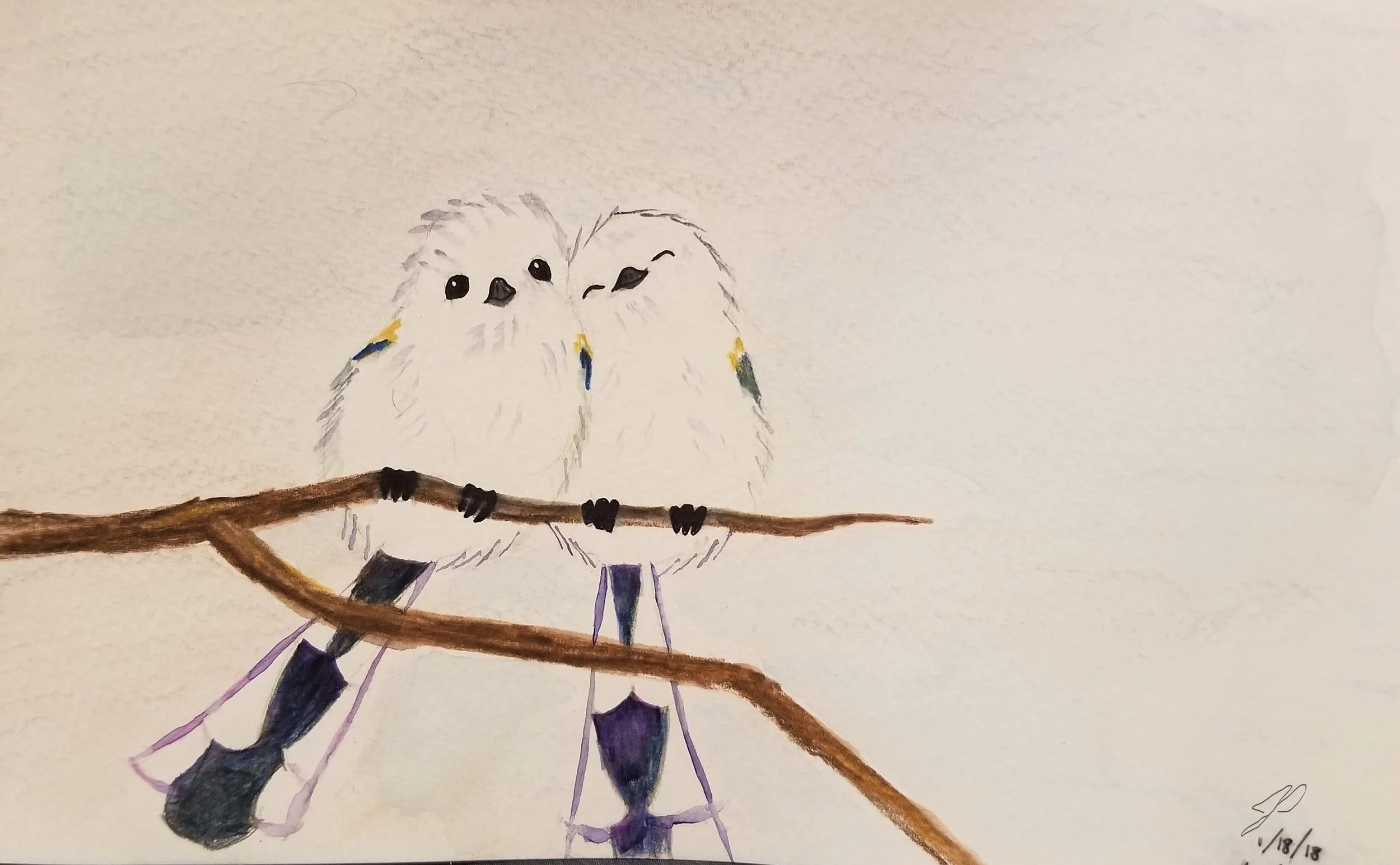 Cuddle birds - watercolor, 2018 - Copy.jpg