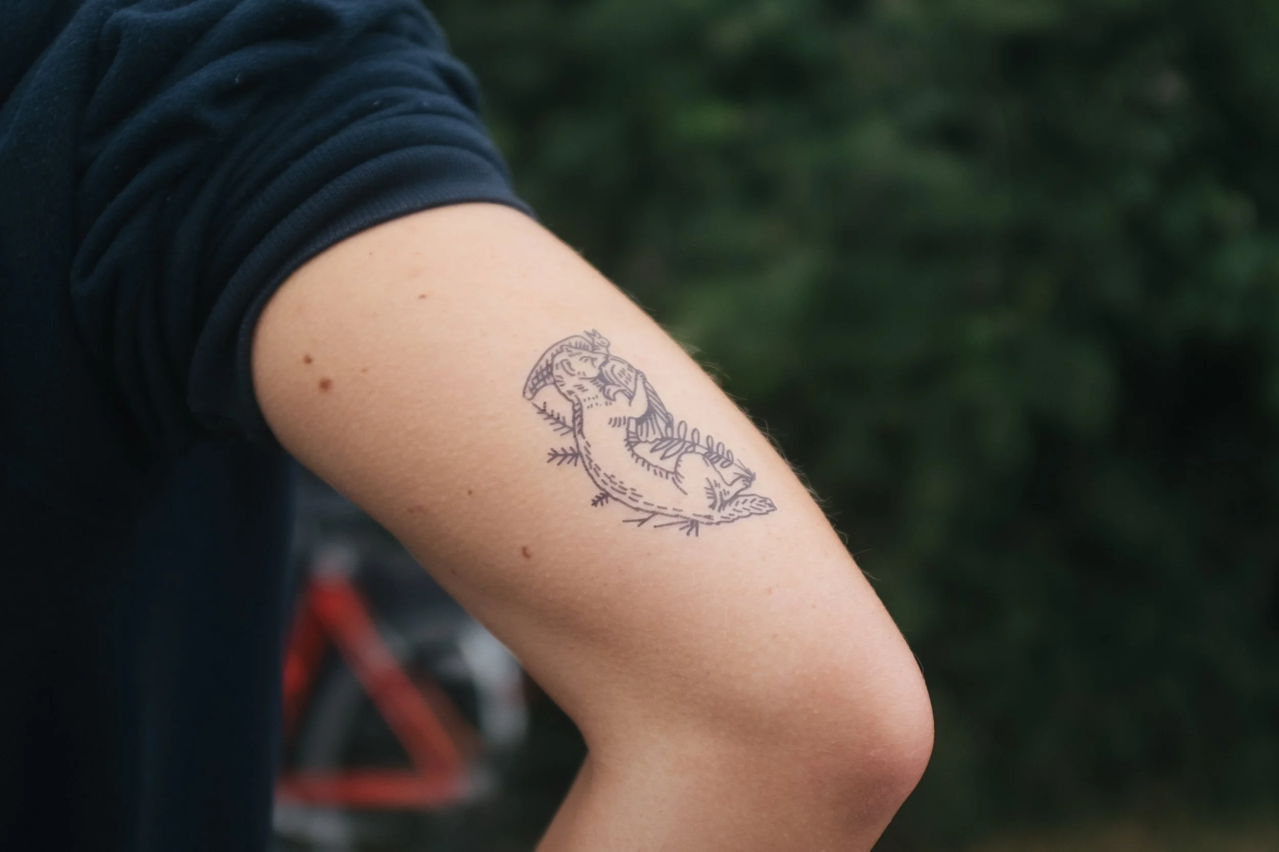 20230701_nforc_bike_and_seek-18.jpg