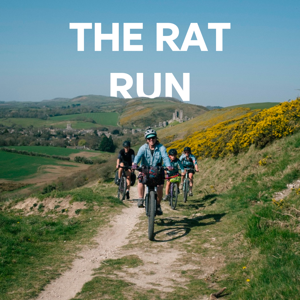THE RAT RUN