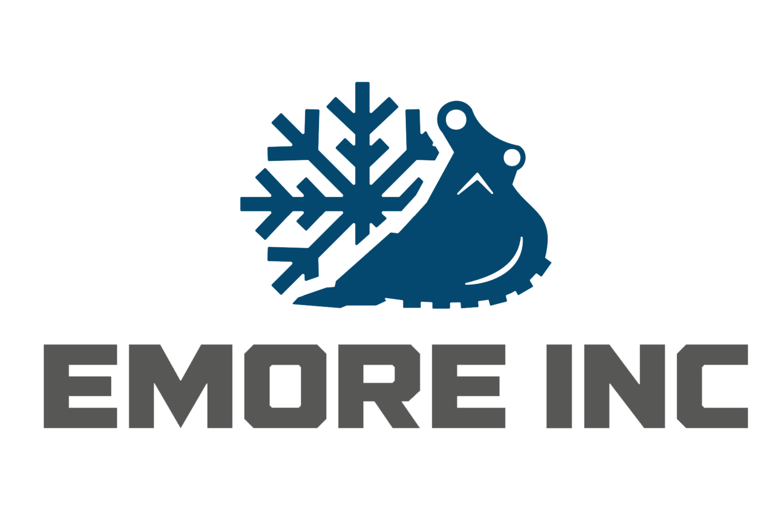 Emore Inc.