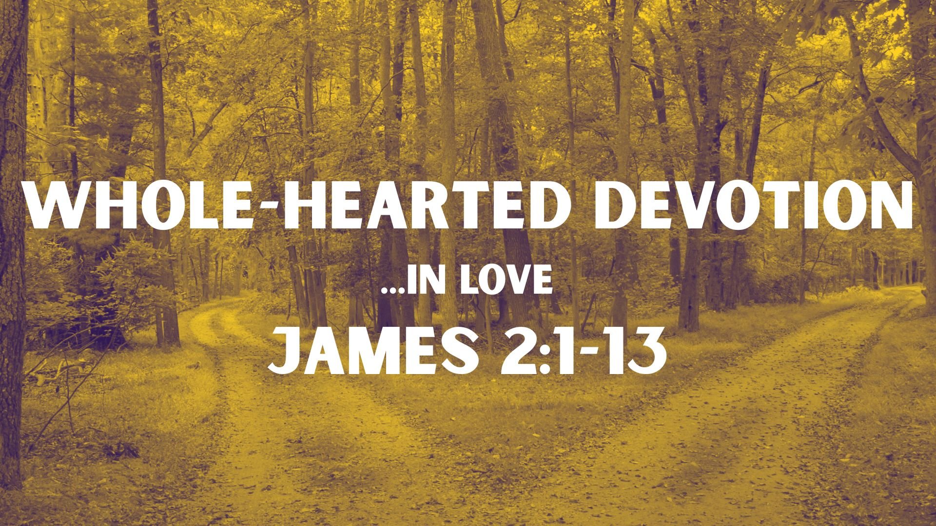 Whole-Hearted Devotion | ...In Love | James 2:1-13
