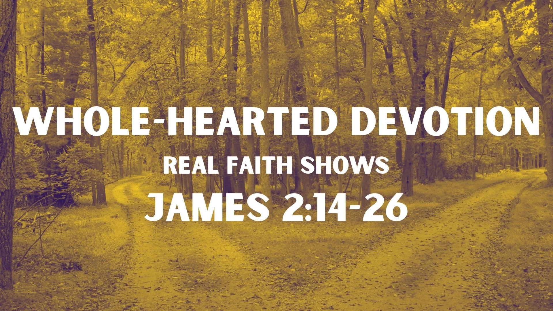 Whole-Hearted Devotion | Real Faith Shows | James 2:14-26