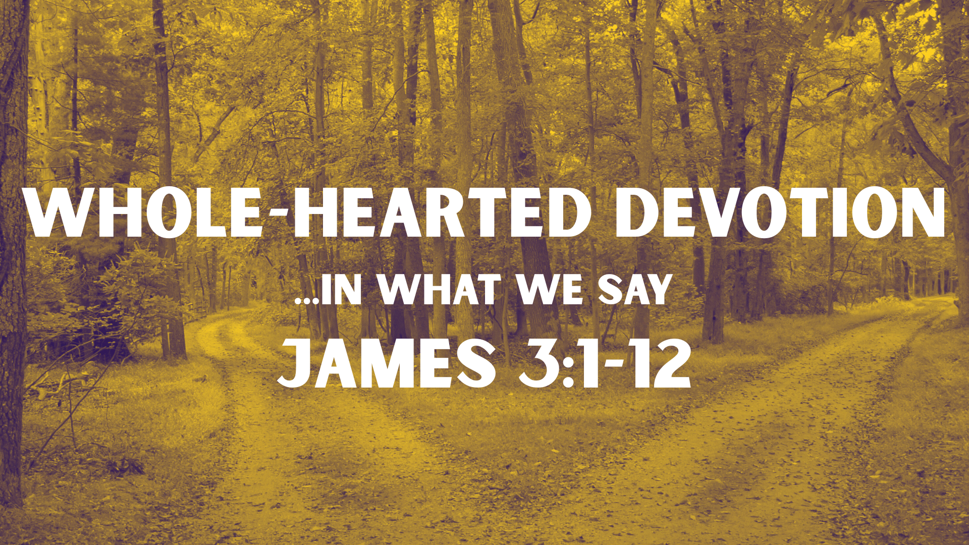 Whole-Hearted Devotion | …In what we say | James 3:1-12
