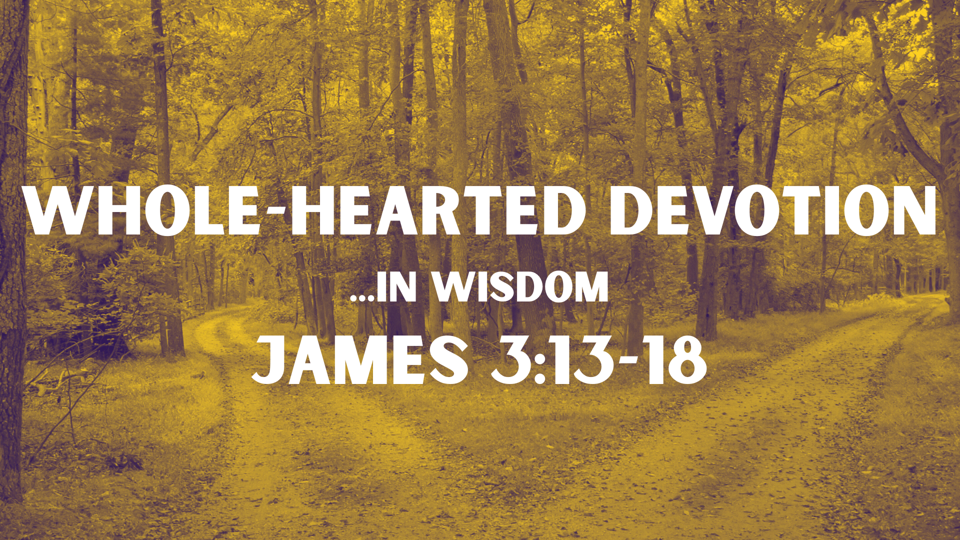 Whole-Hearted Devotion | In Wisdom | James 3:13-18