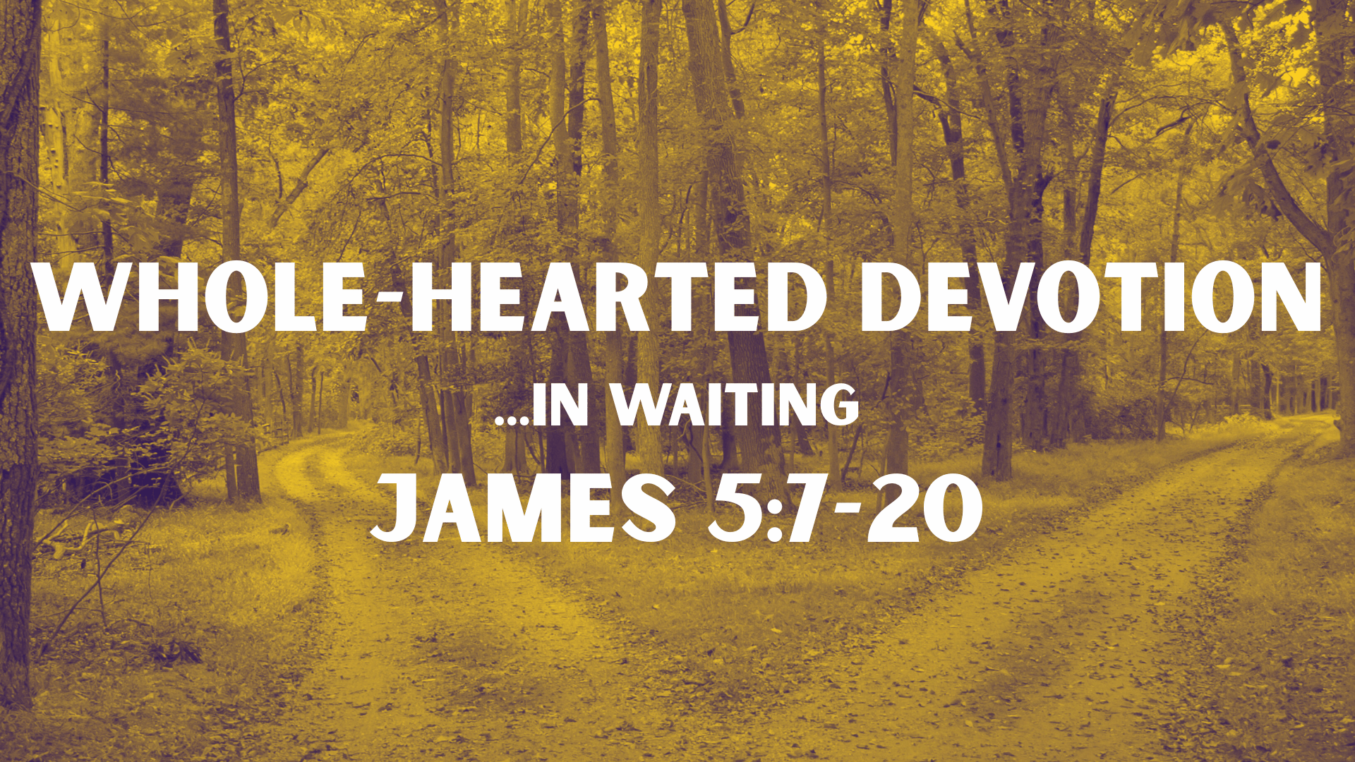Whole-Hearted Devotion | In Waiting | James 5:7-20