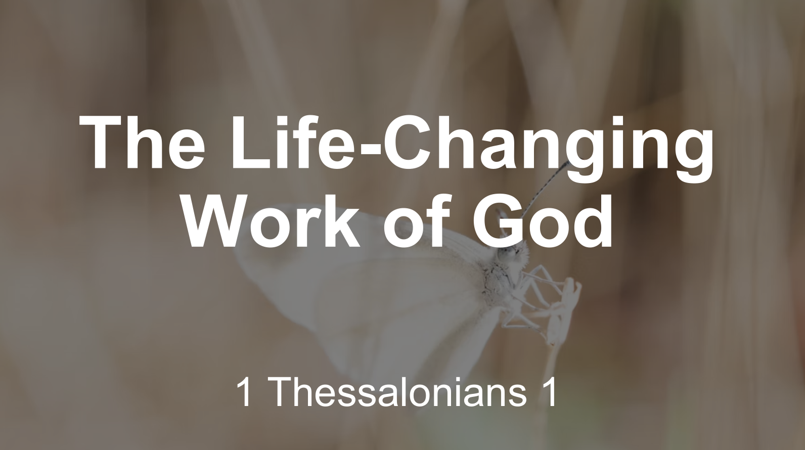 The Life-Changing Work Of God | 1 Thessalonians 1