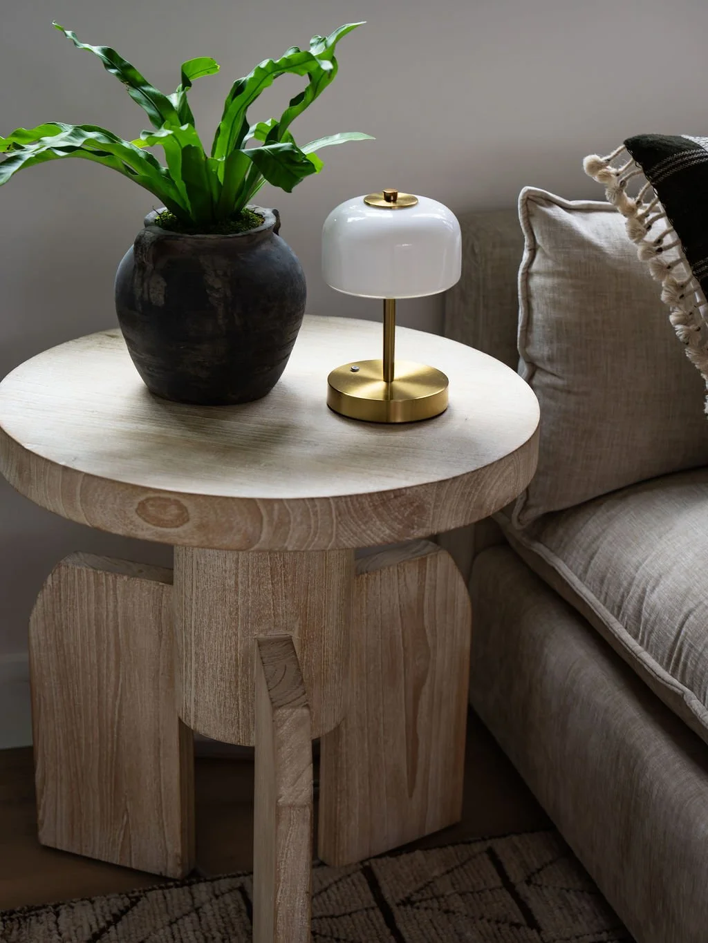 orange-county-organic-modern-interior-design-jessie-ann-design-17.jpg