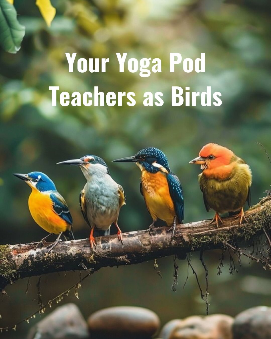 Your Yoga Pod Teachers as Birds 🐦✨

Which one made you laugh the most? Tag the teacher whose bird is spot on 👇