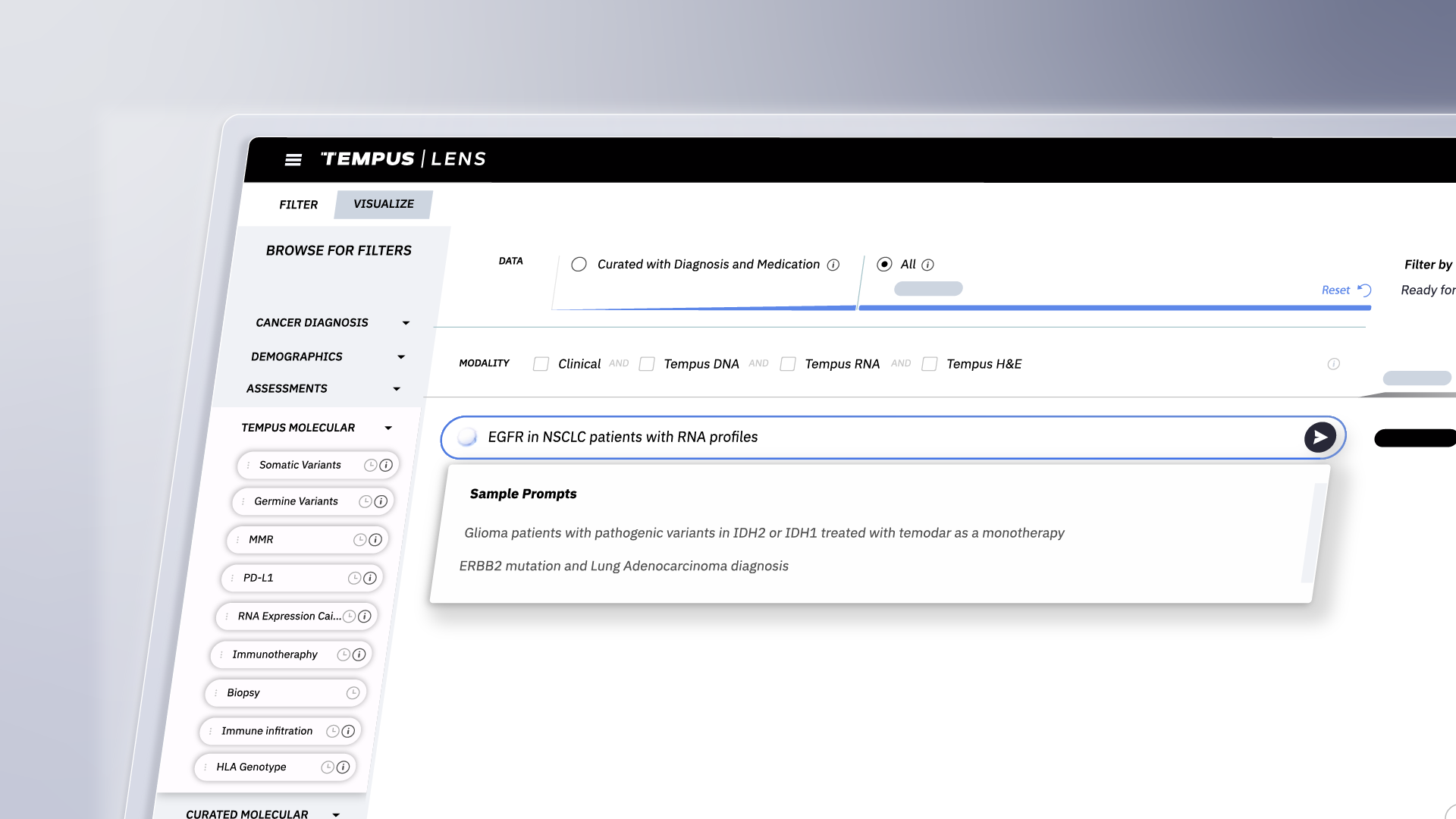 UI/UX ANIMATION