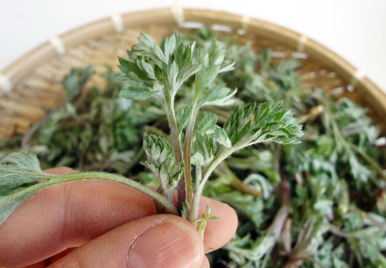 Sook Danja: Health Is Wealth In Rice Cakes