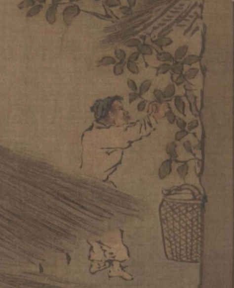 Figure 1: Man picking mulberry leaves from Sericulture (The Process of Making Silk) (耕織圖), early 1200s. Attributed to Liang Kai 