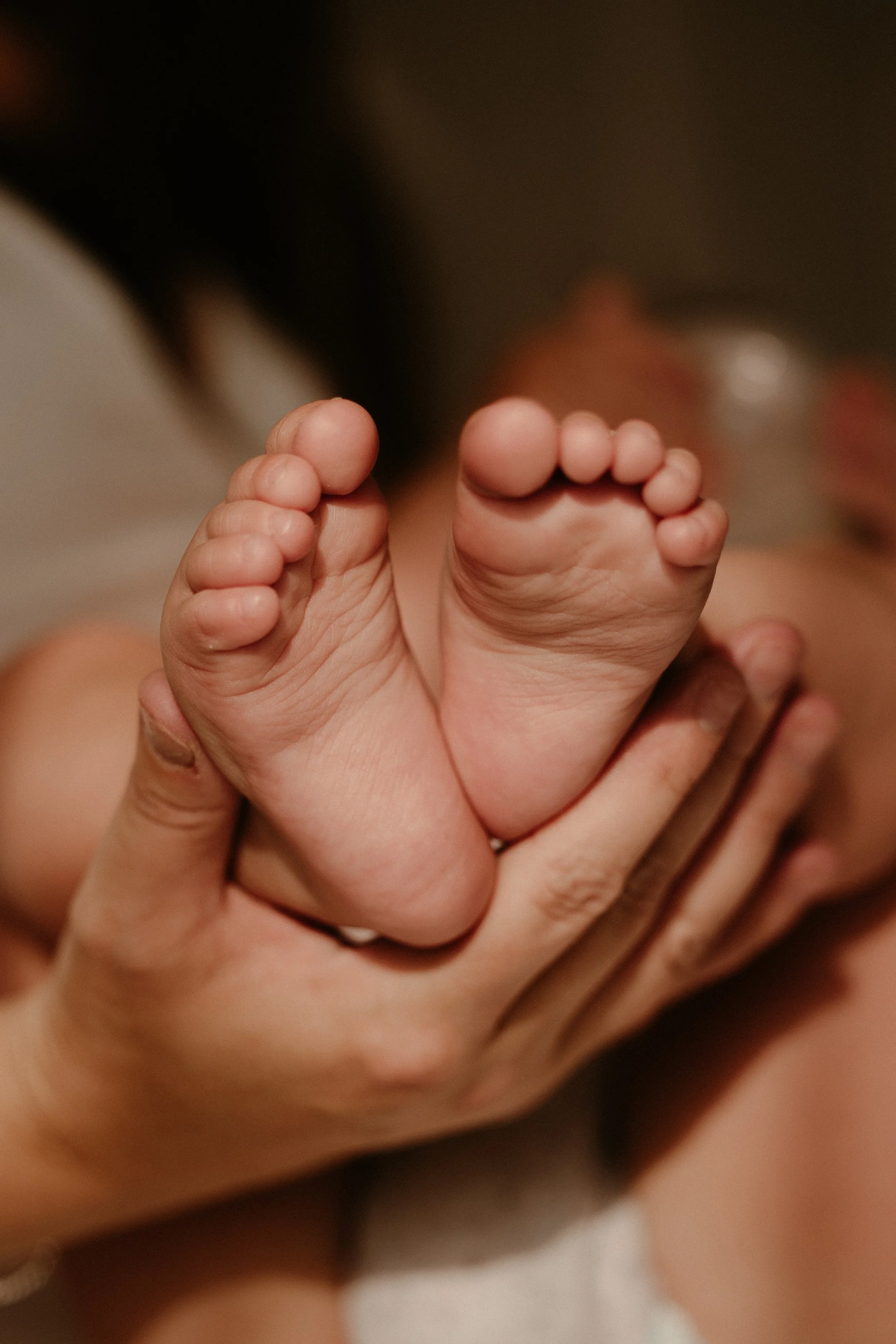 Gemma+Carter2026-17.jpg