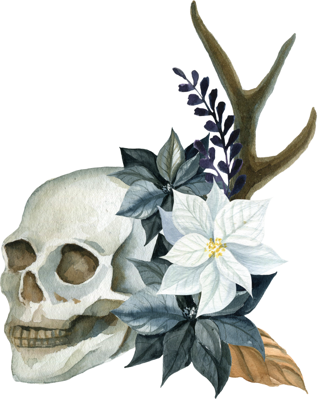Skull.png