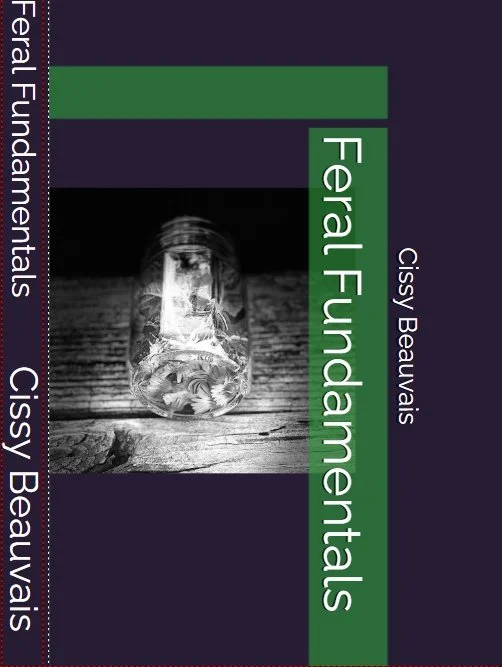 Feral Fundamentals Book Launch Group Meet