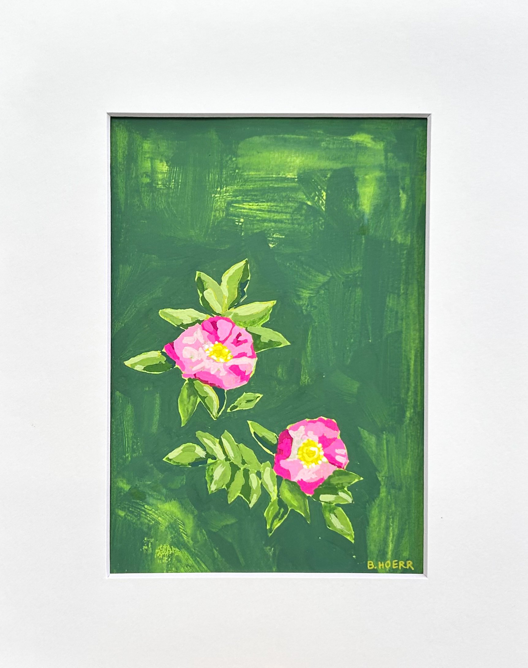 Wild Roses (4-28-25)