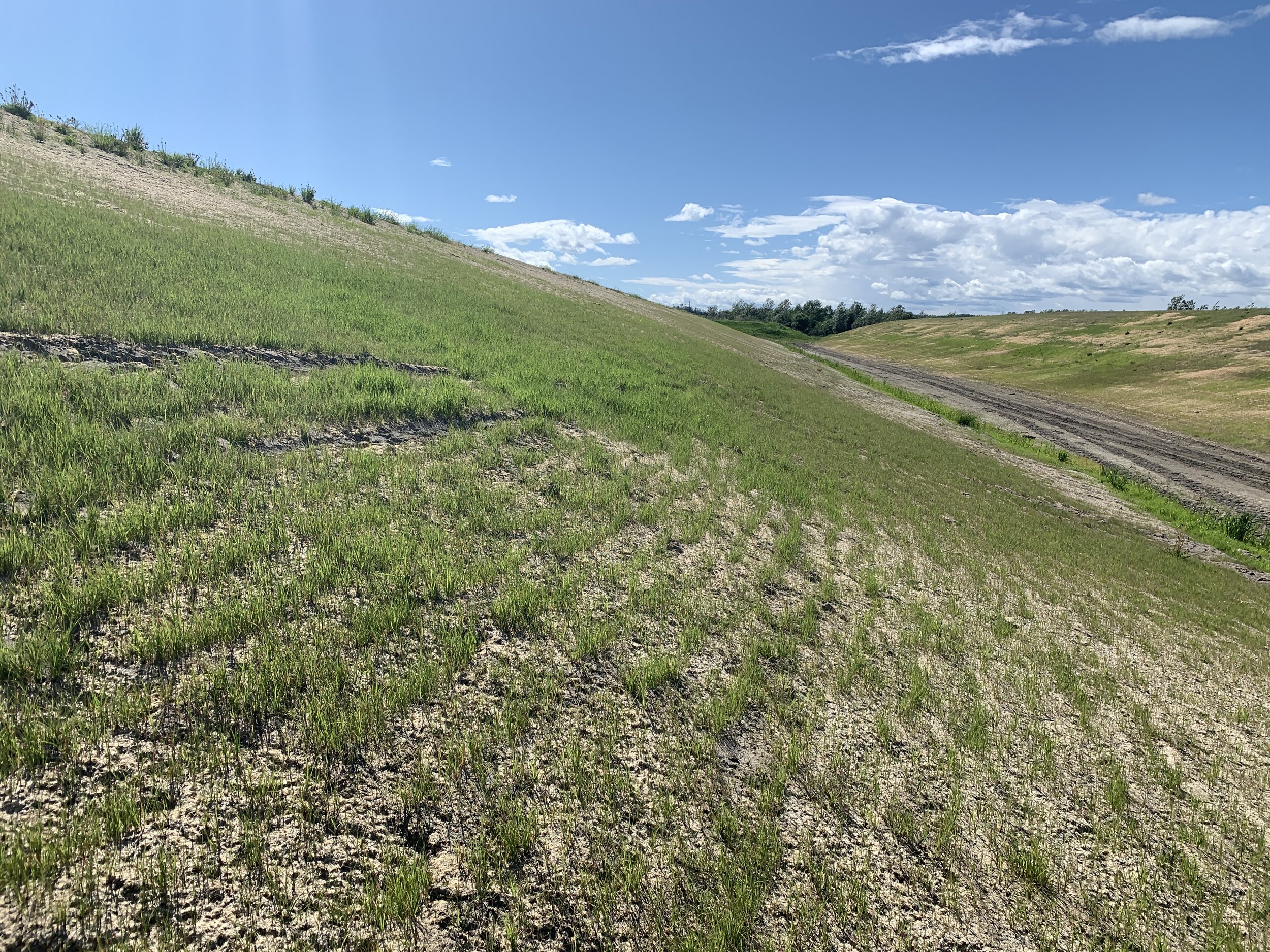 20190618_223851515_iOS.jpg