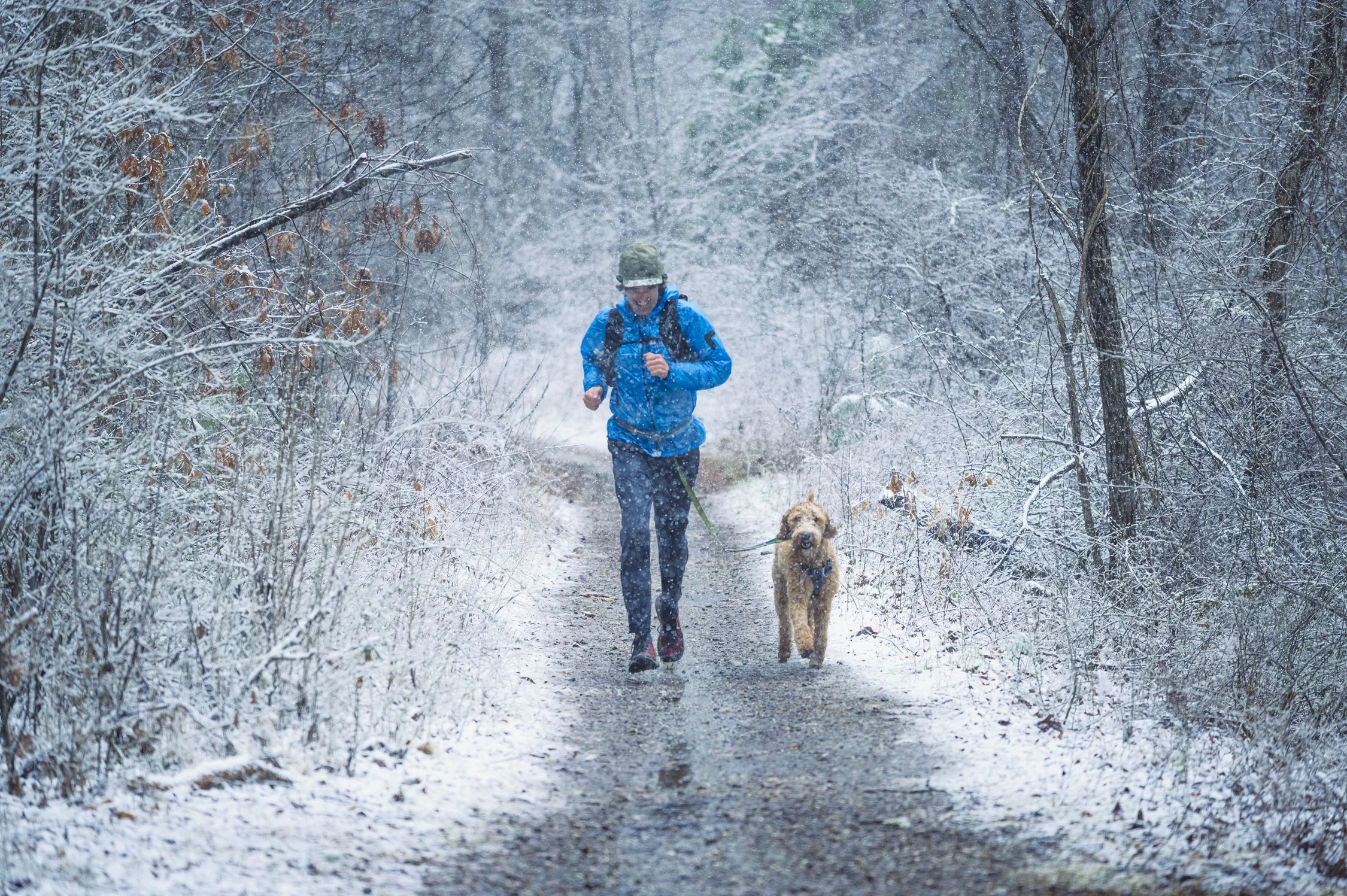 Person in blue jacket running with dog on a snowy forest trail
