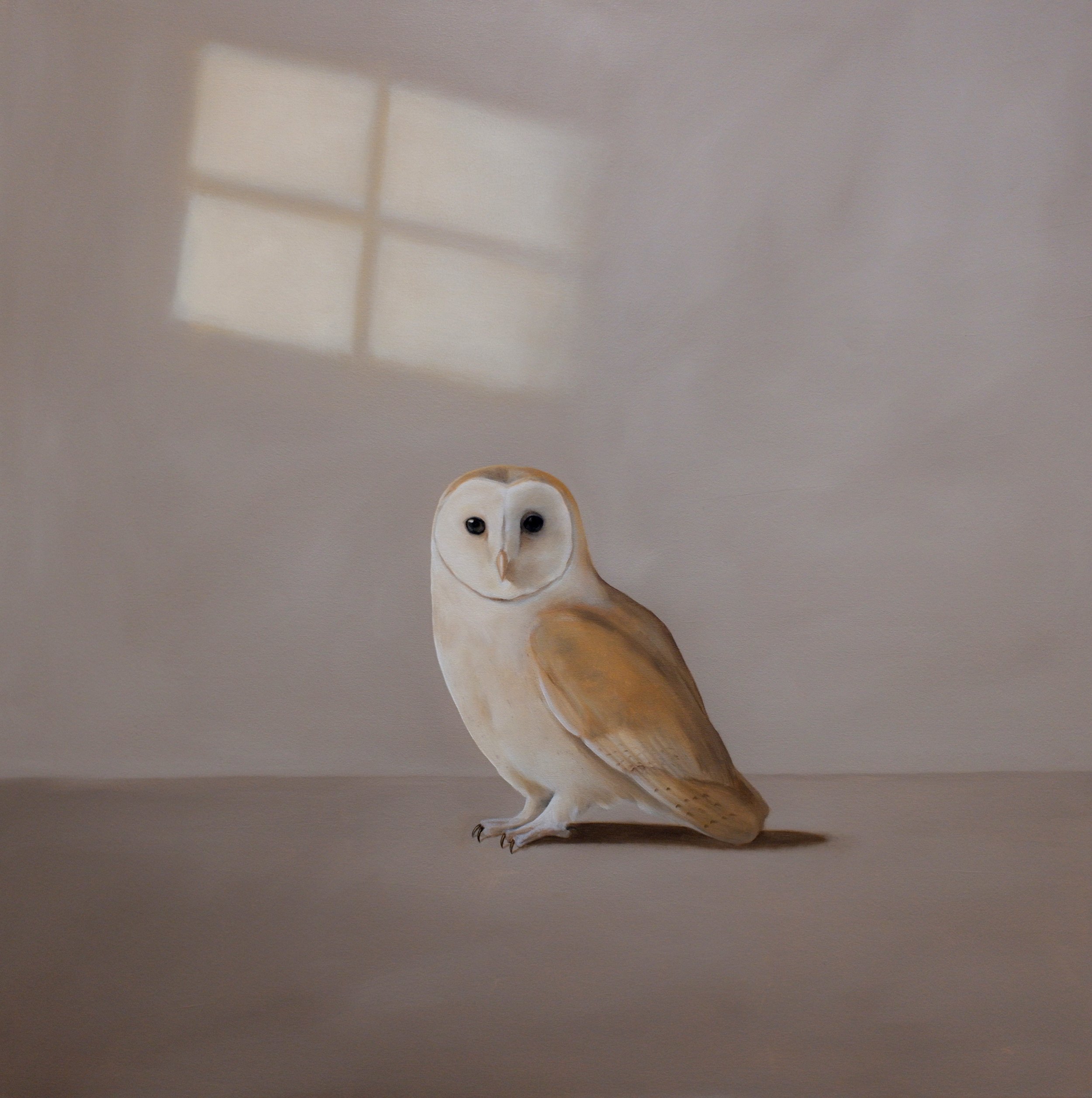 Interval
oil on canvas
30 x 30 inches
© Robin McCauley 2026