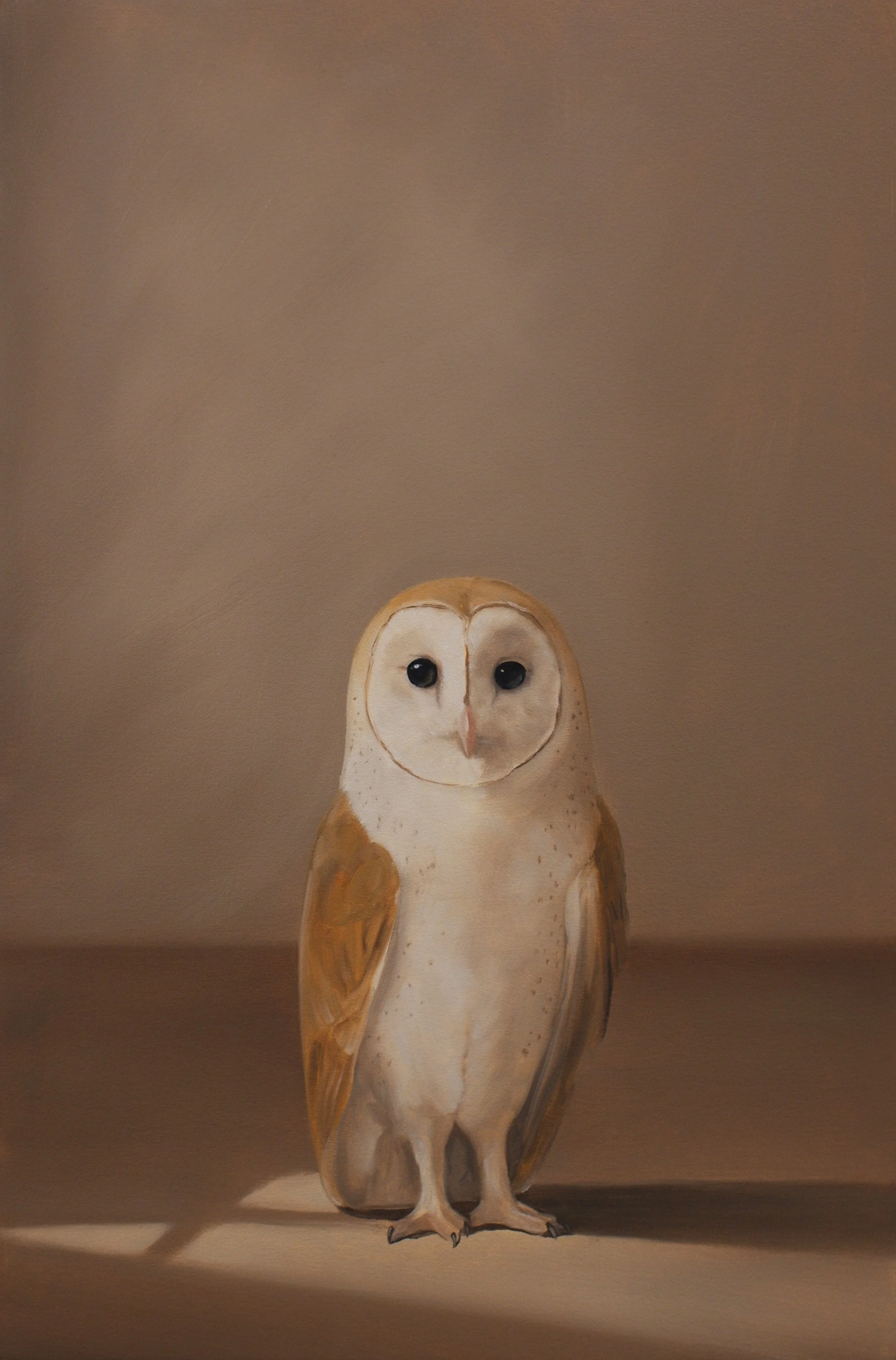 Witness
oil on board
24 x 16 inches
© Robin McCauley 2026