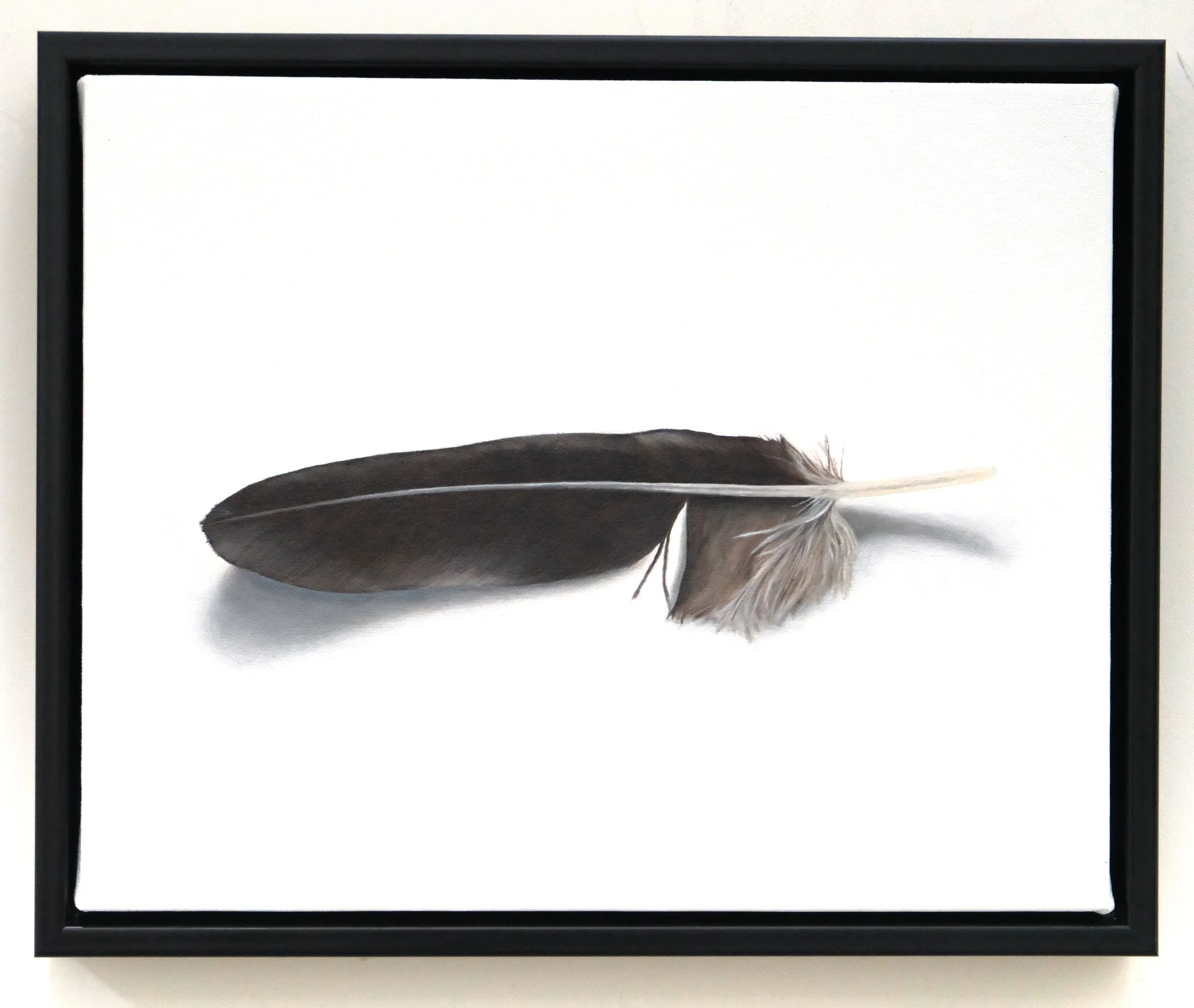 feather1.jpg