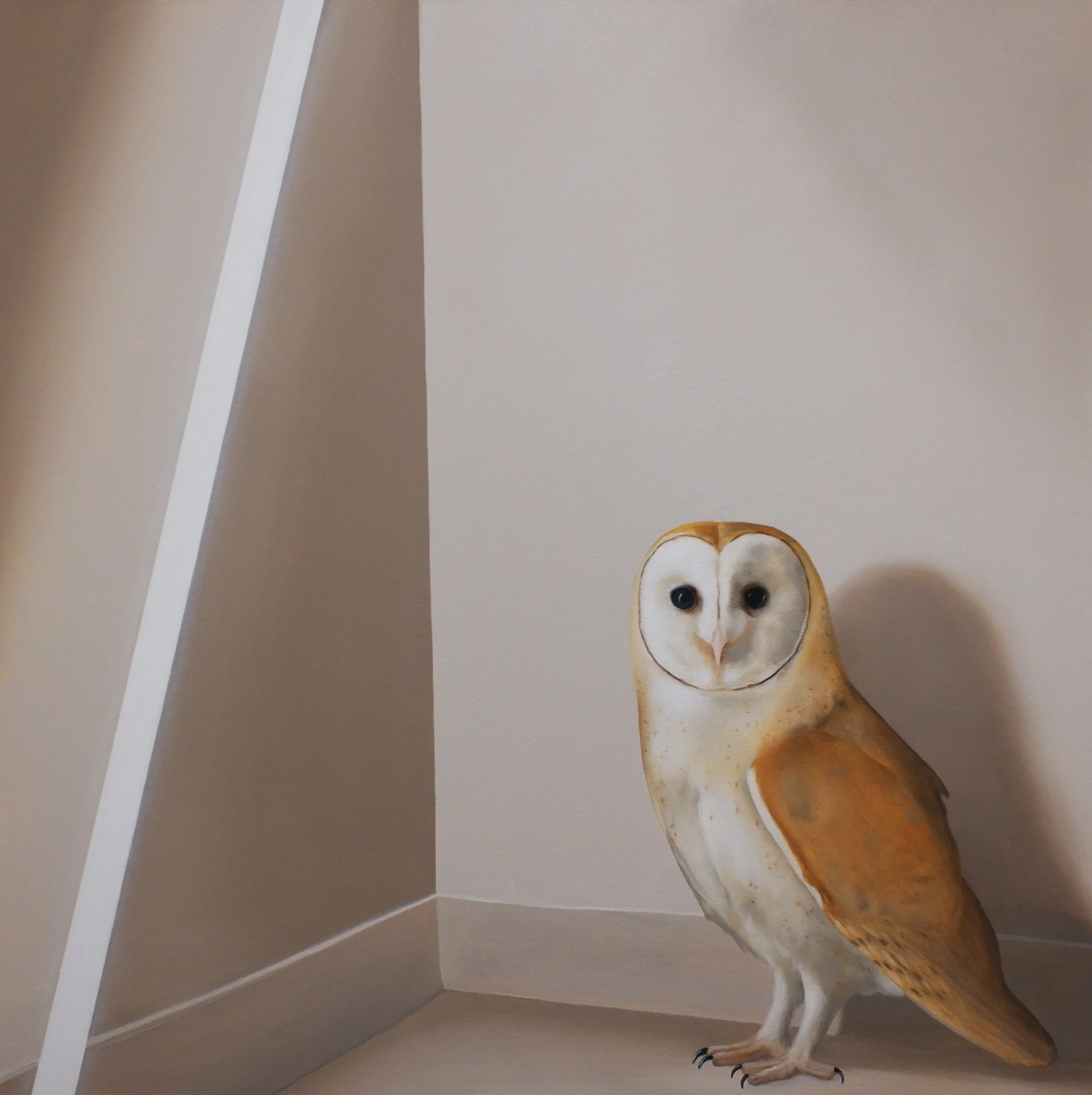 Hollow
oil on canvas
30 x 30 inches
© Robin McCauley 2026