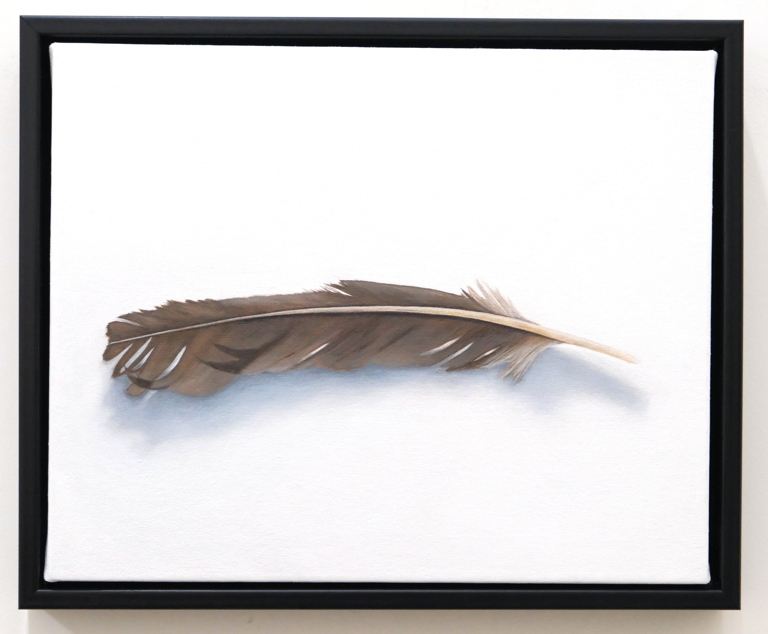 feather3.jpg