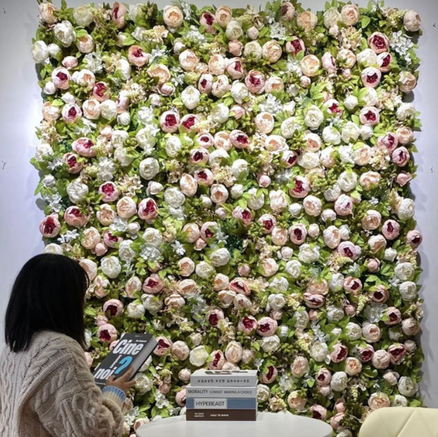 Peony Dreams Wall3.JPG