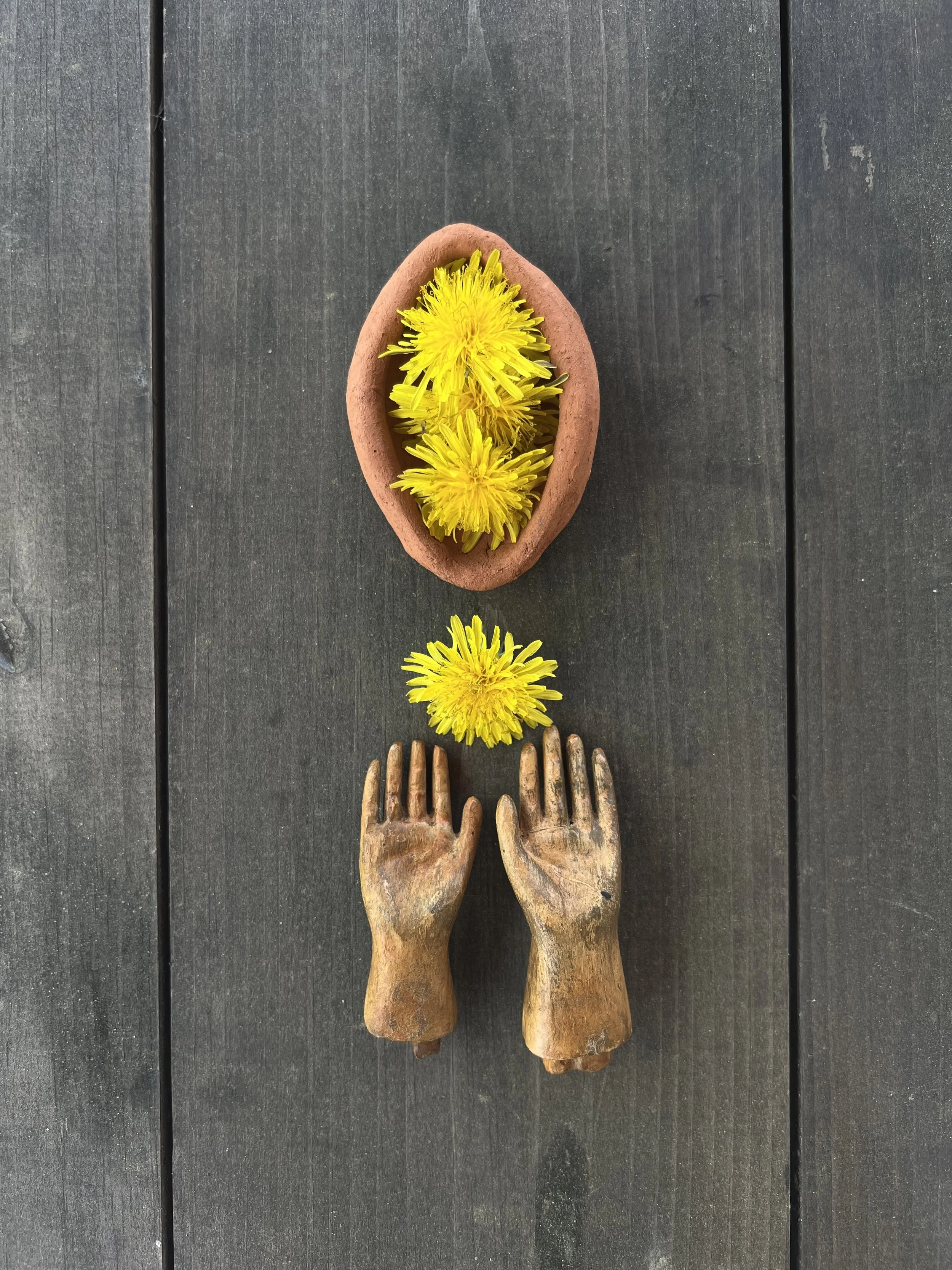 Body as Moon : Luminous Nectar - Floral Syrup Making