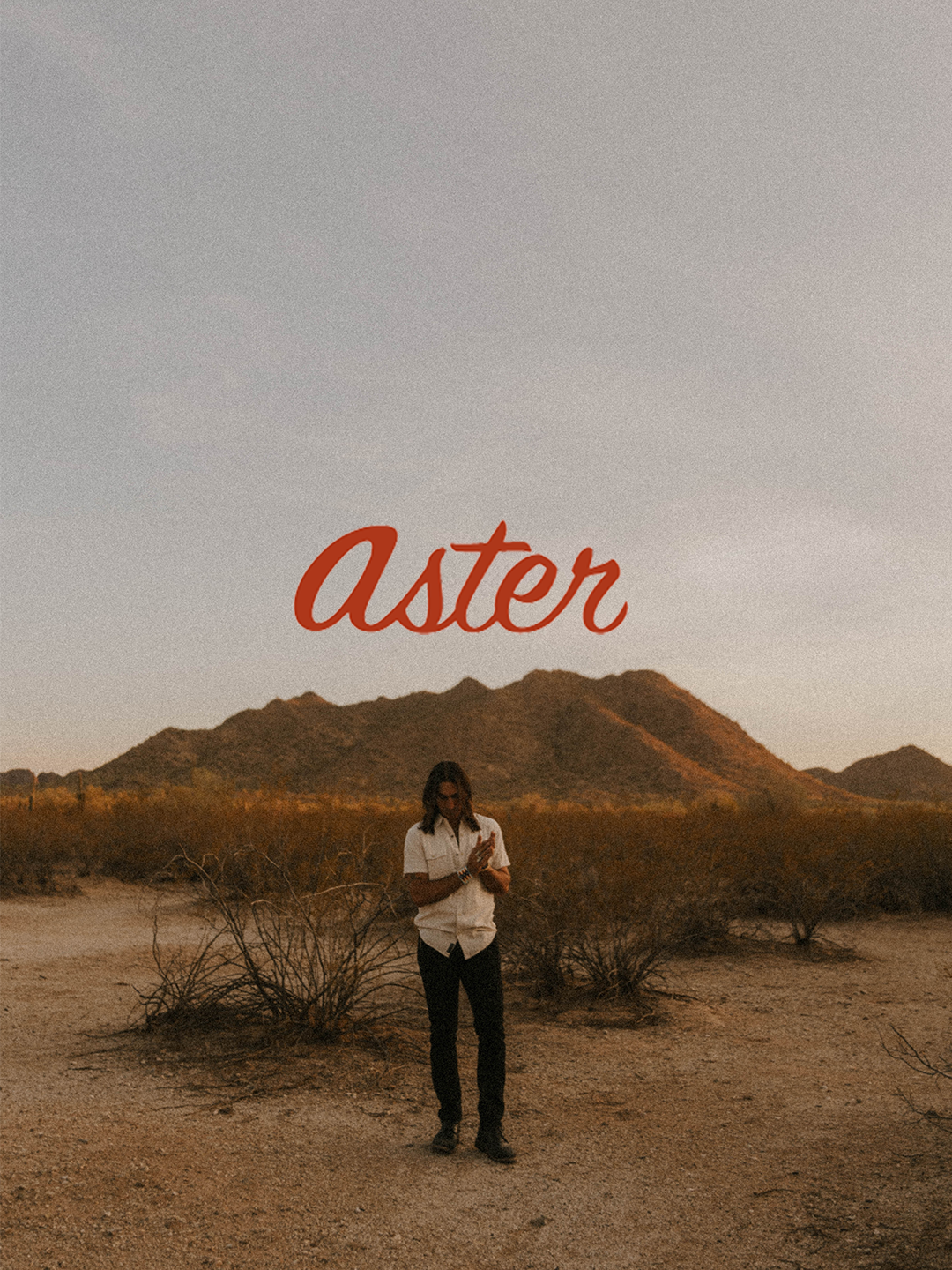 Aster Cafe (Minneapolis)