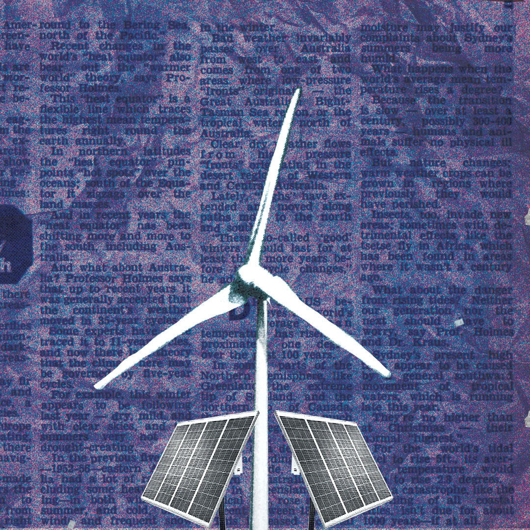 collage8.gif