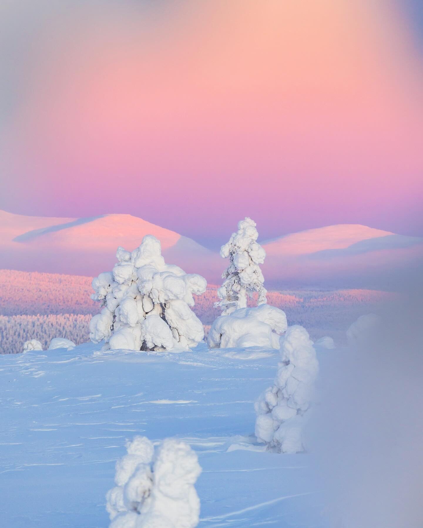 A walk in the pastel world ✨
May look gentle, but the frost bit in minutes 😅

#lapland #finland #muonio #lappi #stayandwander #canonnordic #ourplanetdaily #discoverearth #s&auml;rkitunturi