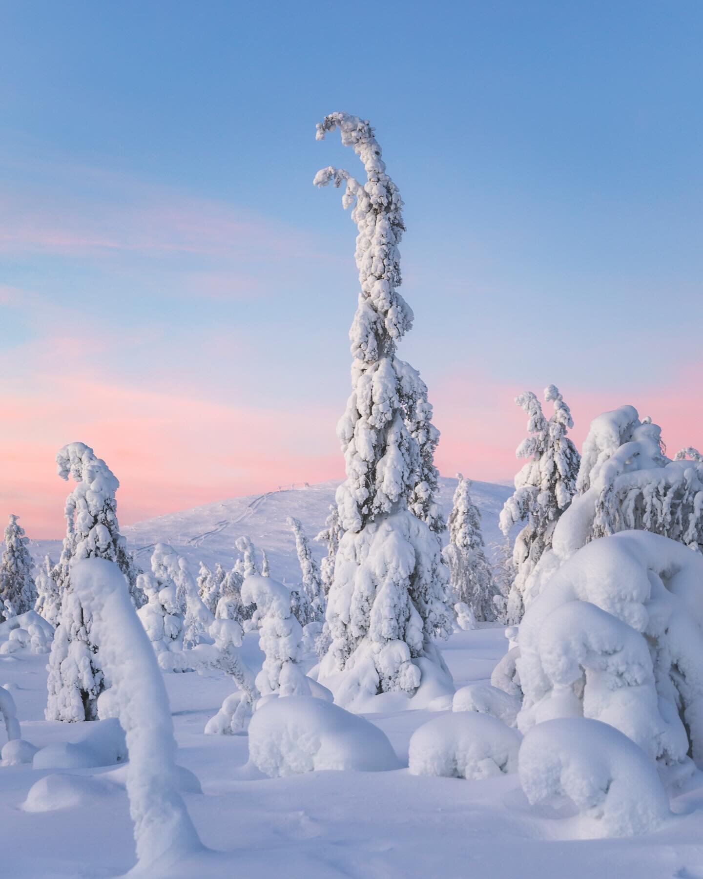 I know I&rsquo;ll miss these cold and snowy pastel colored days, but to be honest I&rsquo;m also looking forward to sunny spring days 🤍

#lapland #finland #muonio #lappi #stayandwander #canonnordic #ourplanetdaily #discoverearth #pallas #pallasyll&a
